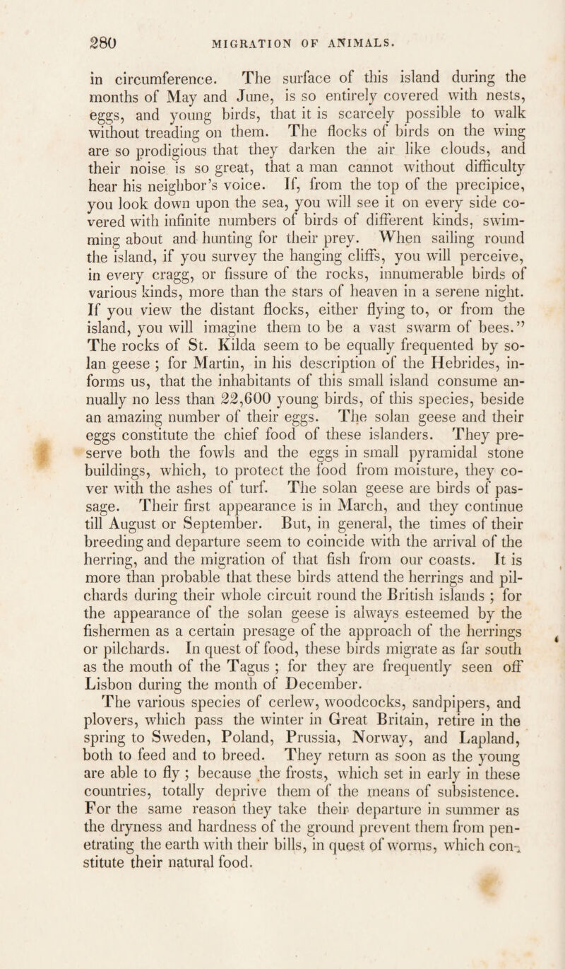 in circumference. The surface of this island during the months of May and June, is so entirely covered with nests, eggs, and young birds, that it is scarcely possible to walk without treading on them. The flocks of birds on the wing are so prodigious that they darken the air like clouds, and their noise is so great, that a man cannot without difficulty hear his neighbor’s voice. If, from the top of the precipice, you look down upon the sea, you will see it on every side co¬ vered with infinite numbers of birds of different kinds, swim¬ ming about and hunting for their prey. When sailing round the island, if you survey the hanging cliffs, you will perceive, in every cragg, or fissure of the rocks, innumerable birds of various kinds, more than the stars of heaven in a serene night. If you view the distant flocks, either flying to, or from the island, you will imagine them to be a vast swarm of bees.” The rocks of St. Kilda seem to be equally frequented by so¬ lan geese ; for Martin, in his description of the Hebrides, in¬ forms us, that the inhabitants of this small island consume an¬ nually no less than 22,600 young birds, of this species, beside an amazing number of their eggs. The solan geese and their eggs constitute the chief food of these islanders. They pre¬ serve both the fowls and the eggs in small pyramidal stone buildings, which, to protect the food from moisture, they co¬ ver with the ashes of turf. The solan geese are birds of pas¬ sage. Their first appearance is in March, and they continue till August or September. But, in general, the times of their breeding and departure seem to coincide with the arrival of the herring, and the migration of that fish from our coasts. It is more than probable that these birds attend the herrings and pil¬ chards during their whole circuit round the British islands ; for the appearance of the solan geese is always esteemed by the fishermen as a certain presage of the approach of the herrings or pilchards. In quest of food, these birds migrate as far south as the mouth of the Tagus ; for they are frequently seen off Lisbon during the month of December. The various species of cerlew, woodcocks, sandpipers, and plovers, which pass the winter in Great Britain, retire in the spring to Sweden, Poland, Prussia, Norway, and Lapland, both to feed and to breed. They return as soon as the young are able to fly ; because the frosts, which set in early in these countries, totally deprive them of the means of subsistence. For the same reason they take their departure in summer as the dryness and hardness of the ground prevent them from pen¬ etrating the earth with their bills, in quest of worms, which coni stitute their natural food.