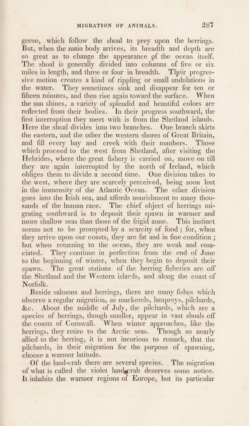 geese, which follow the shoal to prey upon the herrings. But, when the main body arrives’, its breadth and depth are so great as to change the appearance pf the ocean itself. The shoal is generally divided into columns of five or six miles in length, and three or four in breadth. Their progres¬ sive motion creates a kind of rippling or small undulations in the water. They sometimes sink and disappear for ten or fifteen minutes, and then rise again toward the surface. When the sun shines, a variety of splendid and beautiful colors are reflected from their bodies. In their progress southward, the first interruption they meet with is from the Shetland islands. Here the shoal divides into two branches. One branch skirts the eastern, and the other the western shores of Great Britain, and fill every bay and creek with their numbers. Those which proceed to the west from Shetland, after visiting the Hebrides, where the great fishery is carried on, move on till they are again interrupted by the north of Ireland, which obliges them to divide a second time. One division takes to the west, where they are scarcely perceived, being soon lost in the immensity of the Atlantic Ocean. The other division goes into the Irish sea, and aflbrds nourishment to many thou¬ sands of the human race. The chief object of herrings mi¬ grating southward is to deposit their spawn in warmer and more shallow seas than those of the frigid zone. This instinct seems not to be prompted by a scarcity of food ; for, when they arrive upon our coasts, they are fat and in fine condition ; but when returning to the ocean, they are weak and ema¬ ciated. They continue in perfection from the end of June to the beginning of winter, when they begin to deposit their spawn. The great stations of the herring fisheries are off the Shetland and the Western islands, and along the coast of Norfolk. Beside salmons and herrings, there are many fishes which observe a regular migration, as mackerels, lampreys, pilchards, &c. About the middle of July, the pilchards, which are a species of herrings, though smaller, appear in vast shoals off the coasts of Cornwall. When winter approaches, like the herrings, they retire to the Arctic seas. Though so nearly allied to the herring, it is not incurious to remark, that the pilchards, in their migration for the purpose of spawning, choose a warmer latitude. Of the land-crab there are several species. The migration of what is called the violet landg^rab deserves some notice. It inhabits the warmer regions of Europe, but its particular