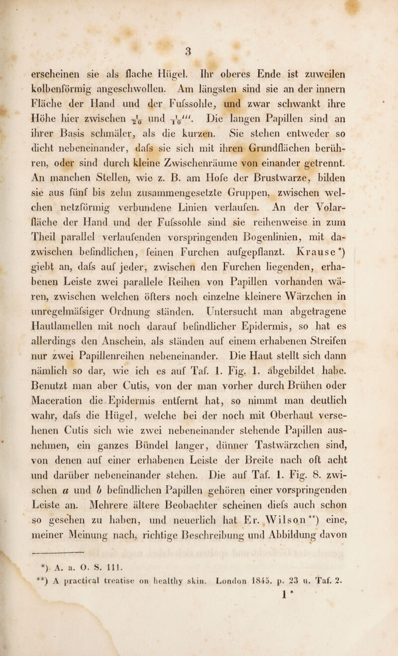 erscheinen sie als flache Hügel. Ihr oberes Ende ist zuweilen kolbenförmig angeschwollen. Am längsten sind sie an der innern Fläche der Hand und der Fufssohle, und zwar schwankt ihre Höhe hier zwischen Vo und Ty. Die langen Papillen sind an ihrer Basis schmäler, als die kurzen. Sie stehen entweder so dicht nebeneinander, dafs sie sich mit ihren Grundflächen berüh¬ ren, oder sind durch kleine Zwischenräume von einander getrennt. An manchen Stellen, wie z. B. am Hofe der Brustwarze, bilden sie aus fünf bis zehn zusammengesetzte Gruppen, zwischen wel¬ chen netzförmig verbundene Linien verlaufen. An der Volar¬ fläche der Hand und der Fufssohle sind sie reihenweise in zum Theil parallel verlaufenden vorspringenden Bogenlinien, mit da¬ zwischen befindlichen, feinen Furchen aufgepflanzt. Krause*) giebt an, dafs auf jeder, zwischen den Furchen liegenden, erha¬ benen Leiste zwei parallele Reihen von Papillen vorhanden wä¬ ren, zwischen welchen öfters noch einzelne kleinere Wärzchen in unregclmäfsiger Ordnung ständen. Untersucht man abgetragene Hautlamellen mit noch darauf befindlicher Epidermis, so hat es allerdings den Anschein, als ständen auf einem erhabenen Streifen nur zwei Papillenreihen nebeneinander. Die Haut stellt sich dann nämlich so dar, wie ich es auf Taf. 1. Fig. 1. abgebildet habe. Benutzt man aber Cutis, von der man vorher durch Brühen oder Maceration die Epidermis entfernt hat, so nimmt man deutlich wahr, dafs die Hügel, welche bei der noch mit Oberhaut verse¬ henen Cutis sich wie zwei nebeneinander stehende Papillen aus¬ nehmen, ein ganzes Bündel langer, dünner Tastwärzchen sind, von denen auf einer erhabenen Leiste der Breite nach oft acht und darüber nebeneinander stehen. Die auf Taf. 1. Fig. 8. zwi¬ schen a und b befindlichen Papillen gehören einer vorspringenden Leiste an. Mehrere ältere Beobachter scheinen diefs auch schon so gesehen zu haben, und neuerlich hat Er. Wilson**) eine, meiner Meinung nach, richtige Beschreibung und Abbildung davon *) A. a. O. S. 111. **) A practical treatise on healtliy skin. London 1845. p. 23 u. Taf. 2. 1 *