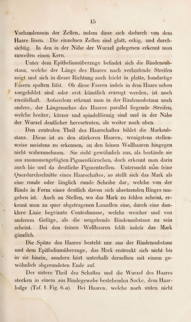 Vorhandensein der Zellen, indem diese sich dadurch von dem Haare lösen. Die einzelnen Zellen sind glatt, eckig, und durch¬ sichtig. In den in der Nähe der Wurzel gelegenen erkennt man zuweilen einen Kern. Unter dem Epitheliumüberzuge befindet sich die Rindensub¬ stanz, welche der Länge des Haares nach verlaufende Streifen zeigt und sich in dieser Richtung auch leicht in platte, bandartige Fasern spalten hifst. Oh diese Fasern indefs in dem Haare schon vorgebildet sind oder erst künstlich erzeugt werden, ist noch zweifelhaft. Aufserdem erkennt man in der Rindensubstanz noch andere, der Längenachse des Haares parallel liegende Streifen, welche breiter, kürzer und spindelförmig sind und in der Nähe der Wurzel deutlicher hervortreten, als weiter nach oben. Den centralen Theil des Haarschaftes bildet die Marksub¬ stanz. Diese ist an den stärkeren Haaren, wenigstens stellen¬ weise meistens zu erkennen, an den feinen Wolihaaren hingegen nicht wahrzunehmen. Sie sieht gewöhnlich aus, als bestände sie aus zusammengefügten Pigmentkörnchen, doch erkennt man darin auch hie und da deutliche Pigmentzellen. Untersucht man feine Querdurchschnitte eines Haarschaftes, so stellt sich das Mark als eine runde oder länglich runde Scheibe dar, welche von der Rinde in Form eines deutlich davon sich absetzenden Ringes um¬ geben ist. Auch an Stellen, wo das Mark zu fehlen scheint, er¬ kennt man an quer abgetragenen Lamellen eine, durch eine dun¬ klere Linie begränzte Centralmasse, welche weicher und von anderem Gefüge, als die umgebende Rindensubstanz zu sein scheint. Bei den feinen Wolihaaren fehlt indefs das Mark gänzlich. Die Spitze des Haares bestellt nur aus der Rindensubstanz und dem Epitheliumüberzuge, das Mark erstreckt sich nicht bis in sie hinein, sondern hört unterhalb derselben mit einem ge¬ wöhnlich abgerundeten Ende auf. Der untere Theil des Schaftes und die Wurzel des Haares stecken in einem aus Bindegewebe bestehenden Sacke, dem Haar¬ balge (Taf. I. Fig. 6.a). Bei Haaren, welche nach unten nicht