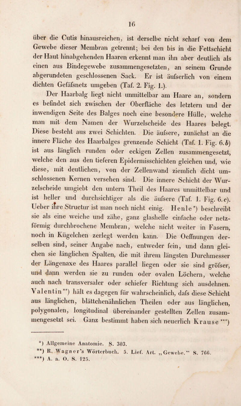 über die Cutis hinausreichen, ist derselbe nicht scharf von dem Gewebe dieser Membran getrennt; hei den bis in die Fettschicht der Haut hinabgehenden Haaren erkennt man ihn aber deutlich als einen aus Bindegewebe zusammengesetzten, an seinem Grunde abgerundeten geschlossenen Sack. Er ist äufserlich von einem dichten Gefäfsnetz umgeben (Taf. 2. Fig. 1.). Der Haarbalg liegt nicht unmittelbar am Haare an, sondern es befindet sich zwischen der Oberfläche des letztem und der inwendigen Seite des Balges noch eine besondere Hülle, welche man mit dem Namen der Wurzelscheide des Haares belegt. Diese besteht aus zwei Schichten. Die äufsere, zunächst an die innere Fläche des Haarbalges grenzende Schicht (Taf. 1. Fig. 6.b) ist aus länglich runden oder eckigen Zellen zusammengesetzt, welche den aus den tieferen Epidermisschichten gleichen und, wie diese, mit deutlichen, von der Zellenwand ziemlich dicht um¬ schlossenen Kernen versehen sind. Die innere Schicht der Wur¬ zelscheide umgiebt den untern Theil des Haares unmittelbar und ist heller und durchsichtiger als die äufsere (Taf. 1. Fig. 6.c). Uebei lfue Stiuctur ist man noch nicht einig. Henle*) beschreibt sie als eine weiche und zähe, ganz glashelle einfache oder netz- lörmig durchbrochene Membran, welche nicht weiter in Fasern, noch in Kügelchen zerlegt werden kann. Die Oeffnungen der¬ selben sind, seiner Angabe nach, entweder fein, und dann glei¬ chen sie länglichen Spalten, die mit ihrem längsten Durchmesser der Längenaxe des Haares parallel hegen oder sie sind gröfser, und dann werden sie zu runden oder ovalen Löchern, welche auch nach transversaler oder schiefer Richtung sich ausdehnen. Valentin**) hält es dagegen für wahrscheinlich, dafs diese Schicht aus länglichen, blättchenähnlichen Theilen oder aus länglichen, polygonalen, longitudinal übereinander gestellten Zellen zusam¬ mengesetzt sei. Ganz bestimmt haben sich neuerlich Krause***) *) Allgemeine Anatomie. S. 303. **) R. Wagner’s Wörterbuch. 5. Lief. Art. „Gewebe.” S. 766.