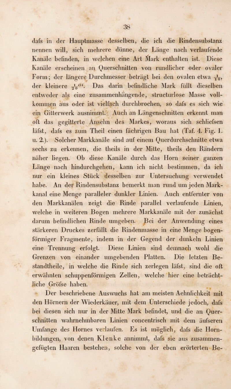 tlafs in der Hauptmasse desselben, die ich die Rindensubstanz nennen will, sich mehrere dünne, der Länge nach verlaufende Kanäle befinden, in welchen eine Art Mark enthalten ist. Diese Kanäle erscheinen an Querschnitten von rundlicher oder ovaler Form; der längere Durchmesser beträgt bei den ovalen etwa W, der kleinere -Joru- Das darin befindliche Mark füllt dieselben entweder als eine zusammenhängende, structurlose Masse voll¬ kommen aus oder ist vielfach durchbrochen, so dafs es sich wie ein Gitterwerk ausnimmt. Auch an Längenschnitten erkennt man oft das gegitterte Ansehn des Markes, woraus sich schliefsen läfst, dafs es zum Theil einen fächrigen Bau hat (Taf. 4. Fig. 1. u. 2.). Solcher Markkanäle sind auf einem Querdurchschnitte etwa sechs zu erkennen, die theils in der Mitte, theils den Rändern näher liegen. Ob diese Kanäle durch das Horn seiner ganzen Länge nach hindurchgehen, kann ich nicht bestimmen, da ich nur ein kleines Stück desselben zur Untersuchung verwendet habe. An der Rindensubstanz bemerkt man rund um jeden Mark¬ kanal eine Menge paralleler dunkler Linien. Auch entfernter von den Markkanälen zeigt die Rinde parallel verlaufende Linien, welche in weiteren Bogen mehrere Markkanäle mit der zunächst darum befindlichen Rinde umgeben. Bei der Anwendung eines stärkeren Druckes zerfällt die Rindenmasse in eine Menge bogen¬ förmiger Fragmente, indem in der Gegend der dunkeln Linien eine Trennung erfolgt. Diese Linien sind demnach wohl die Grenzen von einander umgebenden Platten. Die letzten Be¬ st and theil e, in welche die Rinde sich zerlegen läfst, sind die oft erwähnten schuppenförmigen Zellen, welche hier eine beträcht¬ liche Gröfse haben. Der beschriebene Auswuchs hat am meisten Aehnlichkeit mit den Hörnern der Wiederkäuer, mit dem Unterschiede jedoch, dafs bei diesen sich nur in der Mitte Mark befindet, und die an Ouer- schnitten wahrnehmbaren Linien concentrisch mit dem äufseren Umfange des Hornes verlaufen. Es ist möglich, dafs die Horn¬ bildungen, von denen Klenke annimmt, dafs sie aus zusammen¬ gefügten Haaren bestehen, solche von der eben erörterten Be-