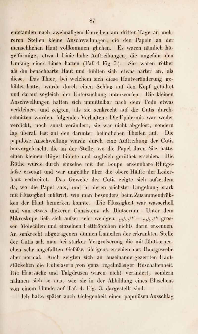 entstanden nach zweimaligem Einreiben am dritten Tage an meh¬ reren Stellen kleine Anschwellungen, die den Papeln an der menschlichen Haut vollkommen glichen. Es waren nämlich hü¬ gelförmige, etwa 1 Linie hohe Auftreibungen, die ungefähr den Umfang einer Linse hatten (Taf. 4. Fig. 5.). Sie waren röther als die benachbarte Haut und fühlten sich etwas härter an, als diese. Das Thier, hei welchem sich diese Hautveränderung ge¬ bildet hatte, wurde durch einen Schlag auf den Kopf getödtet und darauf sogleich der Untersuchung unterworfen. Die kleinen Anschwellungen hatten sich unmittelbar nach dem Tode etwas verkleinert und zeigten, als sie senkrecht auf die Cutis durch¬ schnitten wurden, folgendes Verhalten: Die Epidermis war weder verdickt, noch sonst verändert, sie war nicht abgelöst, sondern lag überall fest auf den darunter befindlichen Theilen auf. Die papulöse Anschwellung wurde durch eine Auftreibung der Cutis hervorgebracht, die an der Stelle, wo die Papel ihren Sitz hatte, einen kleinen Hügel bildete und zugleich geröthet erschien. Die Röthe wurde durch einzelne mit der Loupe erkennbare Blutge- fäfse erzeugt und war ungefähr über die obere Hälfte der Leder¬ haut verbreitet. Das Gewebe der Cutis zeigte sich aufserdem da, wo die Papel safs, und in deren nächster Umgebung stark mit Flüssigkeit infiltrirt, wie man besonders beim Zusammendrük- ken der Haut bemerken konnte. Die Flüssigkeit war wasserhell und von etwas dickerer Consistenz als Blutserum. Unter dem Mikroskope liefs sich aufser sehr wenigen, to'öV^ — yoöo/// gros¬ sen Molecülen und einzelnen Fetttröpfchen nichts darin erkennen. An senkrecht abgetragenen dünnen Lamellen der erkrankten Stelle der Cutis sah man hei starker Vergröfserung die mit Blutkörper¬ chen sehr ungefüllten Gefäfse, übrigens erschien das Hautgewebe aber normal. Auch zeigten sich an auseinandergezerrten Ilaut- stückchen die Cutisfasern .von ganz regelmäfsiger Beschaffenheit. Die Haarsäcke und Talgdrüsen waren nicht verändert, sondern nahmen sich so aus, wie sie in der Abbildung eines Bläschens von einem Hunde auf Taf. 4. Fig. 3. dargestellt sind. Ich hatte später auch Gelegenheit einen papulösen Ausschlag