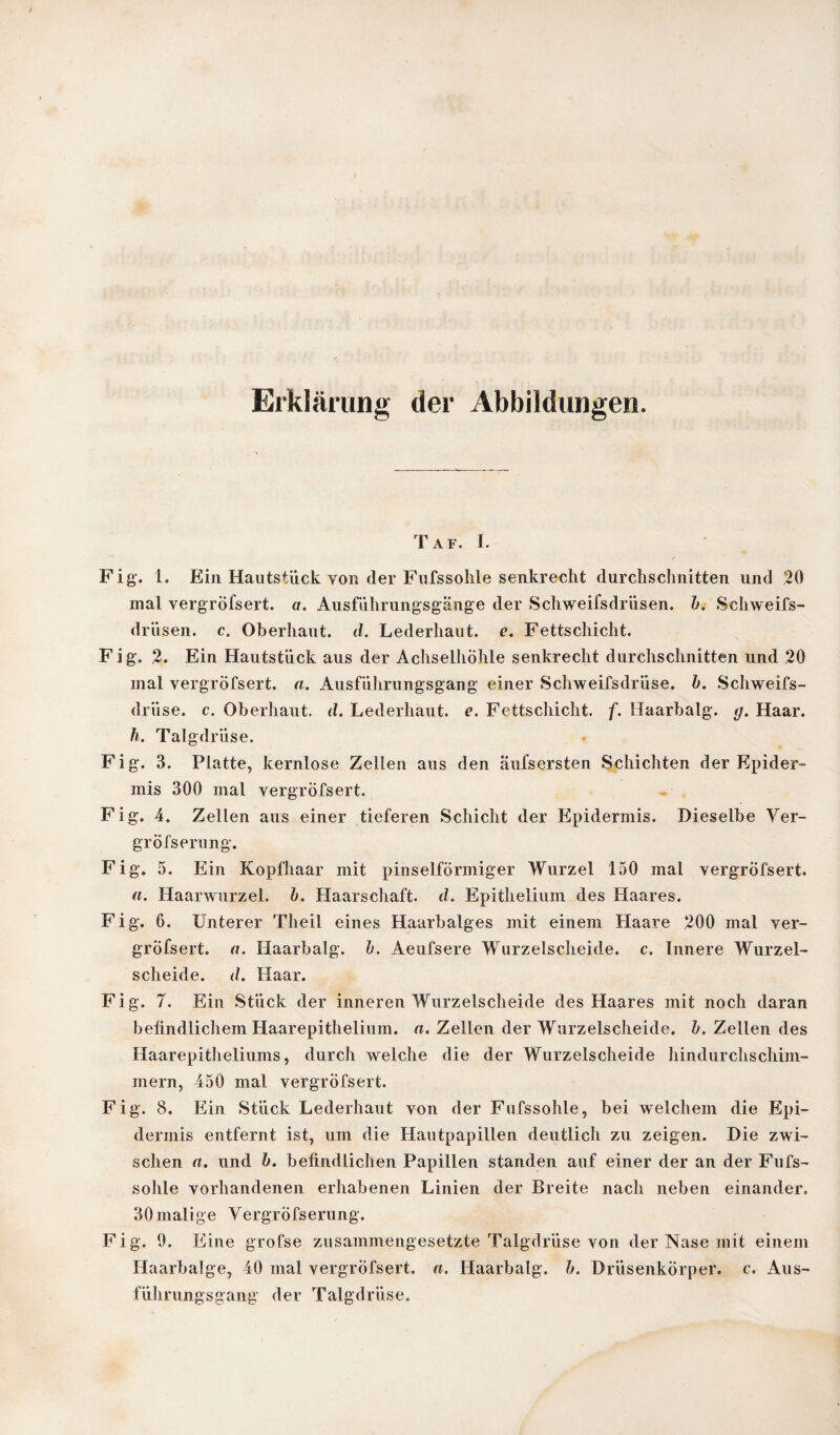 Erklärung der Abbildungen. Taf. I. Fig. 1. Ein Hautsiück yon der Fufssohle senkrecht durchschnitten und 20 mal yergröfsert. a. Ausführungsgänge der Schweifsdrüsen, b. Schweifs¬ drüsen. c. Oberhaut, d. Lederhaut. e. Fettschicht. Fig. 2. Ein Hautstück aus der Achselhöhle senkrecht durchschnitten und 20 mal yergröfsert. a. Ausführungsgang einer Schweifsdrüse, b. Schweifs¬ drüse. c. Oberhaut, d. Lederhaut. e. Fettschicht, f. Haarbalg. g. Haar. h. Talgdrüse. Fig. 3. Platte, kernlose Zellen aus den äufsersten Schichten der Epider¬ mis 300 mal yergröfsert. Fig. 4. Zellen aus einer tieferen Schicht der Epidermis. Dieselbe Ver- grÖfserung. Fig. 5. Ein Kopfhaar mit pinselförmiger Wurzel 150 mal yergröfsert. a. Haarwurzel, b. Haarschaft, d. Epithelium des Haares. Fig. 6. Unterer Theil eines Haarbalges mit einem Haare 200 mal ver- grofsert. a. Haarbalg. b. Aeufsere Wurzelscheide, c. Innere Wurzel¬ scheide. d. Haar. Fig. 7. Ein Stück der inneren Wurzelscheide des Haares mit noch daran befindlichem Haarepitlielium. a. Zellen der Wurzelscheide, b. Zellen des Haarepitheliums, durch welche die der Wurzelscheide hindurchschim¬ mern, 450 mal yergröfsert. Fig. 8. Ein Stück Lederhaut von der Fufssohle, bei welchem die Epi¬ dermis entfernt ist, um die Hautpapillen deutlich zu zeigen. Die zwi¬ schen a. und b. befindlichen Papillen standen auf einer der an der Fufs¬ sohle vorhandenen erhabenen Linien der Breite nach neben einander. 30 malige VergrÖfserung. Fig. 9. Eine grofse zusammengesetzte Talgdrüse von der Nase mit einem Haarbalge, 40 mal yergröfsert. a. Haarbalg. b. Drüsenkörper, c. Aus¬ führungsgang der Talgdrüse,