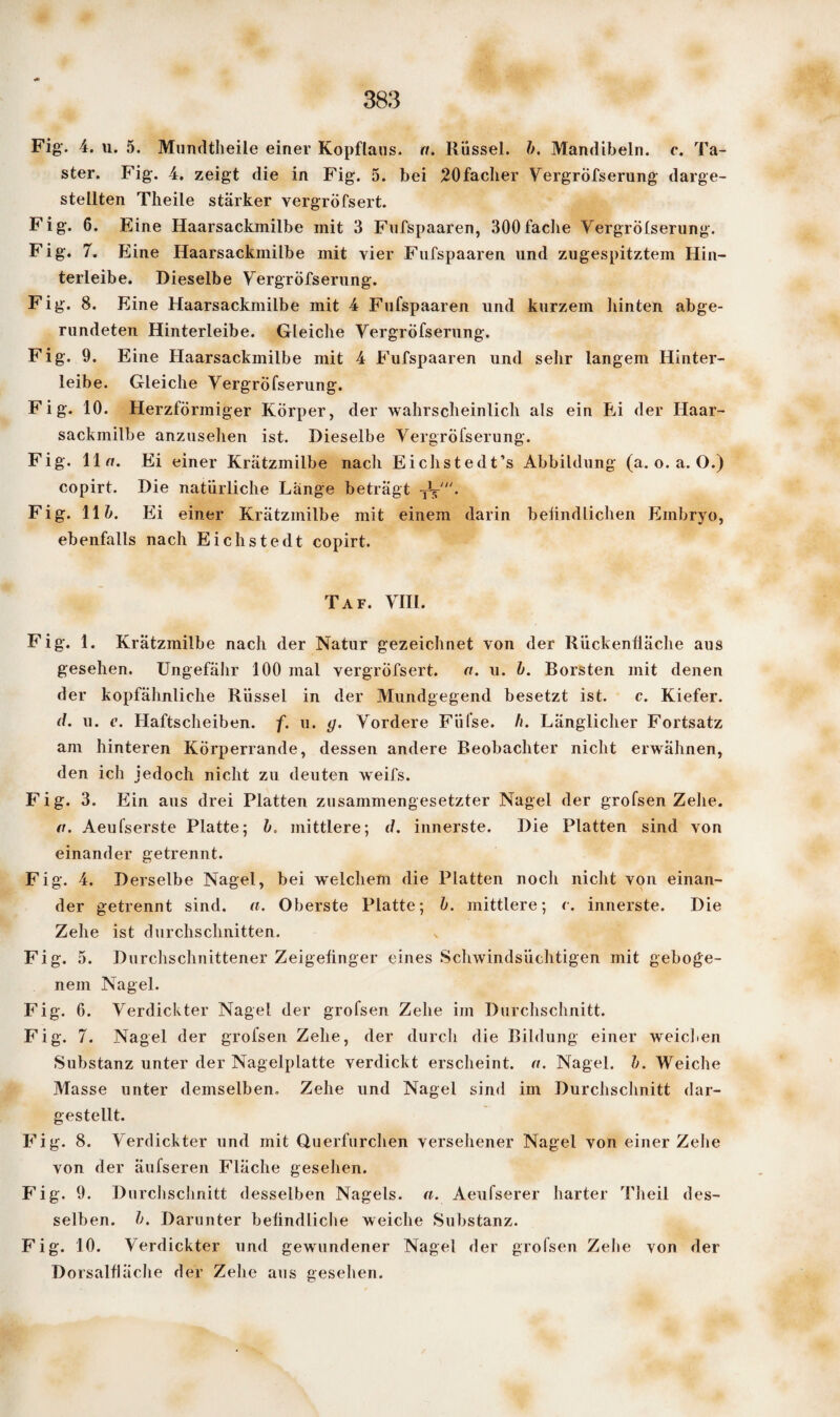 Fig. 4. u. 5. Mundtheile einer Kopflaus, a. Rüssel, b. Mandibeln. c. Ta¬ ster. Fig. 4. zeigt die in Fig. 5. bei 20facher YergrÖfserung darge¬ stellten Theile stärker yergröfsert. Fig. 6. Eine Haarsackmilbe mit 3 Fnfspaaren, 300faclie Vergrofserung. Fig. 7. Eine Haarsackmilbe mit yier Fnfspaaren und zugespitztem Hin¬ terleibe. Dieselbe YergrÖfserung. Fig. 8. Eine Haarsackmilbe mit 4 Fnfspaaren und kurzem hinten abge¬ rundeten Hinterleibe. Gleiche YergrÖfserung. Fig. 9. Eine Haarsackmilbe mit 4 Fufspaaren und sehr langem Hinter¬ leibe. Gleiche YergrÖfserung. Fig. 10. Herzförmiger Körper, der wahrscheinlich als ein Ei der Haar¬ sackmilbe anzusehen ist. Dieselbe YergrÖfserung. Fig. 11 a. Ei einer Krätzmilbe nach Eichstedt’s Abbildung (a. o. a. O.) copirt. Die natürliche Länge beträgt TV. Fig. 11 b. Ei einer Krätzmilbe mit einem darin beiindlichen Embryo, ebenfalls nach Eichstedt copirt. Taf. YII1. Fig. 1. Krätzmilbe nach der Natur gezeichnet von der Rückenfiäche aus gesehen. Ungefähr 100 mal yergröfsert. o. u. b. Borsten mit denen der kopfähnliche Rüssel in der Mundgegend besetzt ist. c. Kiefer. d. u. c. Haftscheiben, f. u. g. Vordere Füfse. h. Länglicher Fortsatz am hinteren Körperrande, dessen andere Beobachter nicht erwähnen, den ich jedoch nicht zu deuten weifs. Fig. 3. Ein aus drei Platten zusammengesetzter Nagel der grofsen Zehe. a. Aeufserste Platte; b. mittlere; d. innerste. Die Platten sind von einander getrennt. Fig. 4. Derselbe Nagel, bei welchem die Platten noch nicht von einan¬ der getrennt sind. a. Oberste Platte; b. mittlere; c. innerste. Die Zehe ist durchschnitten. Fig. 5. Durchschnittener Zeigefinger eines Schwindsüchtigen mit geboge¬ nem Nagel. Fig. 6. Verdickter Nagel der grofsen Zehe im Durchschnitt. Fig. 7. Nagel der grofsen Zehe, der durch die Bildung einer weichen Substanz unter der Nagelplatte verdickt erscheint, n. Nagel, b. Weiche Masse unter demselben. Zehe und Nagel sind im Durchschnitt dar¬ gestellt. Fig. 8. Verdickter und mit Querfurchen versehener Nagel von einer Zehe von der äufseren Fläche gesehen. Fig. 9. Durchschnitt desselben Nagels, a. Aeufserer harter Tlieil des¬ selben. b. Darunter befindliche weiche Substanz. Fig. 10. Verdickter und gewundener Nagel der grofsen Zelte von der Dorsalfläche der Zehe aus gesehen.