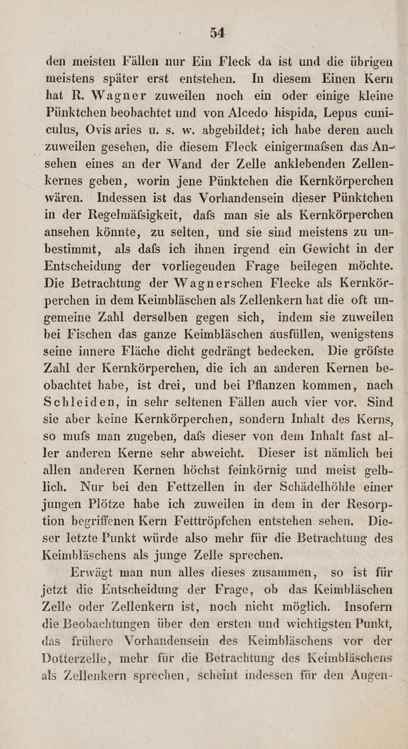 den meisten Fällen nur Ein Fleck da ist und die übrigen meistens später erst entstehen. In diesem Einen Kern hat R. Wagner zuweilen noch ein oder einige kleine Pünktchen beobachtet und von Alcedo hispida, Lepus cuni- culus, Ovis aries u. s. w. abgebildet; ich habe deren auch zuweilen gesehen, die diesem Fleck einigermafsen das An-* sehen eines an der Wand der Zelle anklebenden Zellen¬ kernes geben, worin jene Pünktchen die Kernkörperchen wären. Indessen ist das Vorhandensein dieser Pünktchen in der Regelmäfsigkeit, dafs man sie als Kernkörperchen ansehen könnte, zu selten, und sie sind meistens zu un¬ bestimmt, als dafs ich ihnen irgend ein Gewicht in der Entscheidung der vorliegeuden Frage beilegen möchte. Die Betrachtung der Wagner sehen Flecke als Kernkör¬ perchen in dem Keimbläschen als Zellenkern hat die oft un- gemeine Zahl derselben gegen sich, indem sie zuweilen bei Fischen das ganze Keimbläschen äusfüllen, wenigstens seine innere Fläche dicht gedrängt bedecken. Die gröfste Zahl der Kernkörperchen, die ich an anderen Kernen be¬ obachtet habe, ist drei, und bei Pflanzen kommen, nach Schleiden, in sehr seltenen Fällen auch vier vor. Sind sie aber keine Kernkörperchen, sondern Inhalt des Kerns, so mufs man zugeben, dafs dieser von dem Inhalt fast al¬ ler anderen Kerne sehr abweicht. Dieser ist nämlich bei allen anderen Kernen höchst feinkörnig und meist gelb¬ lich. Nur bei den Fettzellen in der Schädelhöhle einer jungen Plötze habe ich zuweilen in dem in der Resorp¬ tion begriffenen Kern Fetttröpfchen entstehen sehen. Die¬ ser letzte Punkt würde also mehr für die Betrachtung des Keimbläschens als junge Zelle sprechen. Erwägt man nun alles dieses zusammen, so ist für jetzt die Entscheidung der Frage, ob das Keimbläschen Zelle oder Zellenkern ist, noch nicht möglich. Insofern die Beobachtungen über den ersten und wichtigsten Punkt, das frühere Vorhandensein des Keimbläschens vor der Dotterzelle, mehr für die Betrachtung des Keimbläschens als Zellenkern sprechen, scheint indessen für den Augen-
