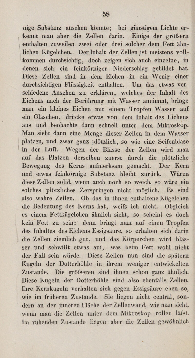 nige Substanz ansehen könnte; bei günstigem Lichte er¬ kennt man aber die Zellen darin. Einige der gröfsern enthalten zuweilen zwei oder drei solcher dem Fett ähn¬ lichen Kügelchen. Der Inhalt der Zellen ist meistens voll¬ kommen durchsichtig, doch zeigen sich auch einzelne, in denen sich ein feinkörniger Niederschlag gebildet hat. Diese Zellen sind in dem Eichen in ein Wenig einer durchsichtigen Flüssigkeit enthalten. Um das etwas ver¬ schiedene Ansehen zu erklären, welches der Inhalt des Eichens nach der Berührung mit Wasser annimmt, bringe man ein kleines Eichen mit einem Tropfen Wasser auf ein Gläschen, drücke etwas von dem Inhalt des Eichens aus und beobachte dann schnell unter dem Mikroskop. Man sieht dann eine Menge dieser Zellen in dem Wasser platzen, und zwar ganz plötzlich, so wie eine Seifenblase in der Luft. Wegen der Blässe der Zellen wird man auf das Platzen derselben zuerst durch die plötzliche Bewegung des Kerns aufmerksam gemacht. Der Kern und etwas feinkörnige Substanz bleibt zurück. Wären diese Zellen solid, wenn auch noch so weich, so wäre ein solches plötzliches Zerspringen nicht möglich. Es sind also wahre Zellen. Ob das in ihnen enthaltene Kügelchen die Bedeutung des Kerns hat, weifs ich nicht. Obgleich es einem Fettkügelchen ähnlich sieht, so scheint es doch kein Fett zu sein; denn bringt man auf einen Tropfen des Inhaltes des Eichens Essigsäure, so erhalten sich darin die Zellen ziemlich gut, und das Körperchen wird bläs¬ ser und schwöllt etwas auf, was beim Fett wohl nicht der Fall sein würde. Diese Zellen nun sind die spätem Kugeln der Dotterhöhle in ihrem weniger entwickelten Zustande. Die gröfseren sind ihnen schon ganz ähnlich. Diese Kugeln der Dotterhöhle sind also ebenfalls Zellen. Ihre Kernkugeln verhalten sich gegen Essigsäure eben so, wie im früheren Zustande. Sie liegen nicht central, son¬ dern an der inneren Fläche der Zellenwand, wie man sieht, wenn man die Zellen unter dem Mikroskop rollen läfst. Im ruhenden Zustande liegen aber die Zeilen gewöhnlich