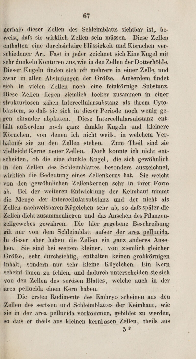 nerhalb dieser Zellen des Schleimblatts sichtbar ist, be¬ weist, dafs sie wirklich Zellen sein müssen. Diese Zellen enthalten eine durchsichtige Flüssigkeit und Körnchen ver- schiedener Art. Fast in jeder zeichnet sich Eine Kugel mit sehr dunkeln Konturen aus, wie in den Zellen der Dotterhöhle. Dieser Kugeln finden sich oft mehrere in einer Zelle, und zwar in allen Abstufungen der Gröfse. Aufserdem findet sich in vielen Zellen noch eine feinkörnige Substanz. Diese Zellen liegen ziemlich locker zusammen in einer strukturlosen zähen Intercellularsubstanz als ihrem Cyto- blastem, so dafs sie sich in dieser Periode noch wenig ge¬ gen einander abplatten. Diese Intercellularsubstanz ent¬ hält aufserdem noch ganz dunkle Kugeln und kleinere Körnchen, von denen ich nicht weifs, in welchem Ver¬ hältnis sie zu den Zellen stehen. Zum Theil sind sie vielleicht Kerne neuer Zellen. Doch konnte ich nicht ent¬ scheiden, ob die eine dunkle Kugel, die sich gewöhnlich in den Zellen des Schleimblattes besonders auszeichnet, wirklich die Bedeutung eines Zellenkerns hat. Sie weicht von den gewöhnlichen Zellenkernen sehr in ihrer Form ab. Bei der weiteren Entwicklung der Keimhaut nimmt die Menge der Intercellularsubstanz und der nicht als Zellen nachweisbaren Kügelchen sehr ab, so dafs später die Zellen dicht zusammenliegen und das Ansehen des Pflanzen¬ zellgewebes gewähren. Die hier gegebene Beschreibung gilt nur von dem Schleimblatt aufser der area pellucida. In dieser aber haben die Zellen ein ganz anderes Anse¬ hen. Sie sind bei weitem kleiner, von ziemlich gleicher Gröfse, sehr durchsichtig, enthalten keinen grobkörnigen Inhalt, sondern nur sehr kleine Kügelchen. Ein Kern scheint ihnen zu fehlen, und dadurch unterscheiden sie sich von den Zellen des serösen Blattes, welche auch in der area pellucida einen Kern haben. Die ersten Rudimente des Embryo scheinen aus den Zellen des serösen und Schleimblattes der Keimhaut, wie sie in der area pellucida Vorkommen, gebildet zu werden, so dafs er theils aus kleinen kernlosen Zellen, theils aus 5*
