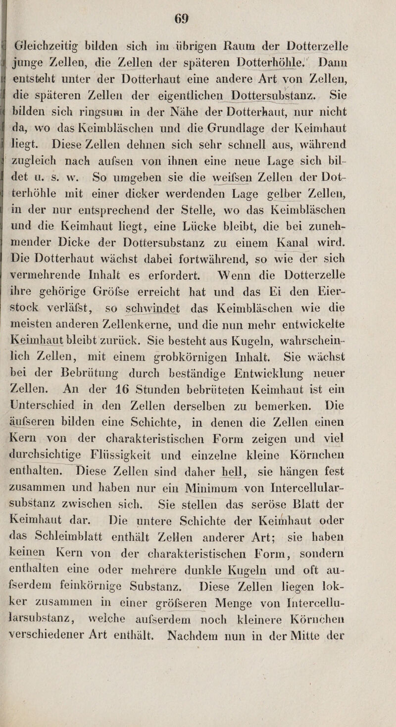 ü) Gleichzeitig bilden sich im übrigen Raum der Dotterzelle f junge Zellen, die Zellen der späteren Dotterhöhle. Dann if entsteht unter der Dotterhaut eine andere Art von Zellen, die späteren Zellen der eigentlichen Dottersubstanz. Sie f' bilden sich ringsum in der Nähe der Dotterhaut, nur nicht | da, wo das Keimbläschen und die Grundlage der Keimhaut liegt. Diese Zellen dehnen sich sehr schnell aus, während zugleich nach aufsen von ihnen eine neue Lage sich bil¬ det u. s. w. So umgeben sie die weifsen Zellen der Dot¬ terhöhle mit einer dicker werdenden Lage gelber Zellen, in der nur entsprechend der Stelle, wo das Keimbläschen und die Keimhaut liegt, eine Lücke bleibt, die bei zuneh¬ mender Dicke der Dottersubstanz zu einem Kanal wird. Die Dotterhaut wächst dabei fortwährend, so wie der sich vermehrende Inhalt es erfordert. Wenn die Dotterzelle ihre gehörige Gröfse erreicht hat und das Ei den Eier¬ stock verläfst, so schwindet das Keimbläschen wie die meisten anderen Zellenkerne, und die nun mehr entwickelte Keim haut bleibt zurück. Siebestehtaus Kugeln, wahrschein¬ lich Zellen, mit einem grobkörnigen Inhalt. Sie wächst bei der Bebrütung durch beständige Entwicklung neuer Zellen. An der 16 Stunden bebrüteten Keimhaut ist ein Unterschied in den Zellen derselben zu bemerken. Die äufseren bilden eine Schichte, in denen die Zellen einen Kern von der charakteristischen Form zeigen und viel durchsichtige Flüssigkeit und einzelne kleine Körnchen enthalten. Diese Zellen sind daher hell, sie hängen fest zusammen und haben nur ein Minimum von Intercellular¬ substanz zwischen sich. Sie stellen das seröse Blatt der Keimhaut dar. Die untere Schichte der Keimhaut oder das Schleimblatt enthält Zellen anderer Art; sie haben keinen Kern von der charakteristischen Form, sondern enthalten eine oder mehrere dunkle Kugeln und oft au- fserdem feinkörnige Substanz. Diese Zellen liegen lok- ker zusammen in einer gröfseren Menge von Intercellu- larsubstanz, welche aufserdem noch kleinere Körnchen verschiedener Art enthält. Nachdem nun in der Mitte der