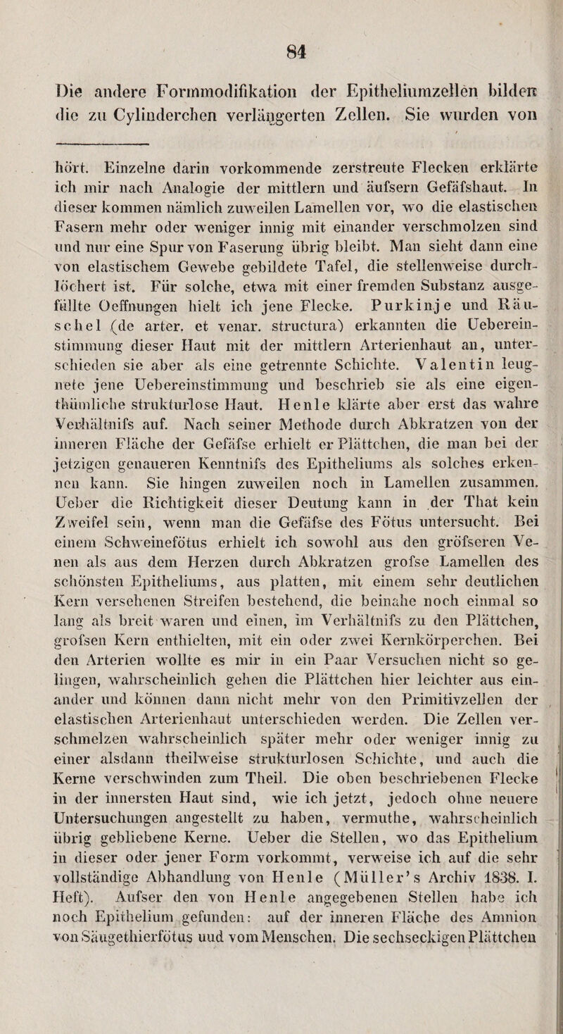 Die andere Formmodifikation der Epitheliumzellen bilden die zu Cylinderchen verlängerten Zellen. Sie wurden von hört. Einzelne darin vorkommende zerstreute Flecken erklärte ich mir nach Analogie der mittlern und äufsern Gefäfshaut. In dieser kommen nämlich zuweilen Lamellen vor, wo die elastischen Fasern mehr oder weniger innig mit einander verschmolzen sind und nur eine Spur von Faserung übrig bleibt. Man sieht dann eine von elastischem Gewebe gebildete Tafel, die stellenweise durch¬ löchert ist. Für solche, etwa mit einer fremden Substanz ausge¬ füllte Oeffnungen hielt ich jene Flecke. Purkinje und Rau¬ sch el (de arter. et venar. structura') erkannten die Ueberein- stimmung dieser Haut mit der mittlern Arterienhaut an, unter¬ schieden sie aber als eine getrennte Schichte. Valentin leug¬ nete jene Uebereinstimnmng und beschrieb sie als eine eigen- thümliche strukturlose Haut. He nie klärte aber erst das wahre Verhältnifs auf. Nach seiner Methode durch Abkratzen von der inneren Fläche der Gefäfse erhielt er Plättchen, die man bei der jetzigen genaueren Kenntnifs des Epitheliums als solches erken¬ nen kann. Sie hingen zuweilen noch in Lamellen zusammen. Ueber die Richtigkeit dieser Deutung kann in der That kein Zweifel sein, wenn man die Gefäfse des Fötus untersucht. Bei einem Schweinefötus erhielt ich sowohl aus den gröfseren Ve¬ nen als ans dem Herzen durch Abkratzen grofse Lamellen des schönsten Epitheliums, aus platten, mit einem sehr deutlichen Kern versehenen Streifen bestehend, die beinahe noch einmal so lang als breit waren und einen, Im Verhältnifs zu den Plättchen, grofsen Kern enthielten, mit ein oder zwei Kernkörperchen. Bei den Arterien wollte es mir in ein Paar Versuchen nicht so ge¬ lingen, wahrscheinlich gehen die Plättchen hier leichter aus ein¬ ander und können dann nicht mehr von den Primitivzellen der elastischen Arterienhaut unterschieden werden. Die Zellen ver¬ schmelzen wahrscheinlich später mehr oder weniger innig zu einer alsdann theilweise strukturlosen Schichte, und auch die Kerne verschwinden zum Theil. Die oben beschriebenen Flecke in der innersten Haut sind, wie ich jetzt, jedoch ohne neuere Untersuchungen angestellt zu haben, vermuthe, wahrscheinlich übrig gebliebene Kerne. Ueber die Stellen, wo das Epithelium in dieser oder jener Form vorkommt, verweise ich auf die sehr vollständige Abhandlung von He nie (Müller’s Archiv 1838. I. Heft). Aufser den von Henle angegebenen Stellen habe ich noch Epithelium gefunden: auf der inneren Fläche des Amnion von Säugethierfötus und vom Menschen. Die sechseckigen Plättchen