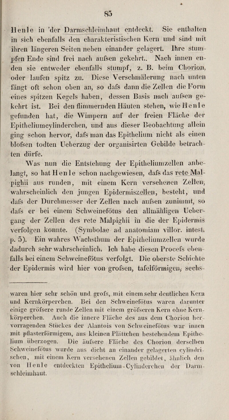 Heule in hier Darmschleimhaut entdeckt. Sie enthalten in sich ebenfalls den charakteristischen Kern und sind mit ihren längeren Seiten neben einander gelagert. Ihre stum¬ pfen Ende sind frei nach aufsen gekehrt.. Nach innen en¬ den sie entweder ebenfalls stumpf, z. B. beim Chorion, oder laufen spitz zu. Diese Verschmälerung nach unten fängt oft schon oben an, so dafs dann die Zellen die Form eines spitzen Kegels haben, dessen Basis nach aufsen ge¬ kehrt ist. Bei den flimmernden Häuten stehen, wie Heule gefunden hat, die Wimpern auf der freien Fläche der Epitheliumcylinderchen, und aus dieser Beobachtung allein ging* schon hervor, dafs man das Epitheliom nicht als einen blofsen todten Ueberzug der organisirten Gebilde betrach¬ ten dürfe. Was nun die Entstehung der Epitheliumzellen anbe¬ langt, so hat Heule schon nachgewiesen, dafs das rete Mal- pighii aus runden, mit einem Kern versehenen Zellen, wahrscheinlich den jungen Epidermiszellen, besteht, und dafs der Durchmesser der Zellen nach aufsen zunimmt, so dafs er bei einem Schweinefötus den allmähligen IJeber¬ gang der Zellen des rete Malpighii in die der Epidermis verfolgen konnte. (Symbolae ad anatomiam villor, intest* p. 5). Ein wahres Wachsthum der Epiiheliumzellen wurde dadurch sehr wahrscheinlich. Ich habe diesen Procefs eben¬ falls bei einem Sehweinefötus verfolgt. Die oberste Schichte der Epidermis wird hier von grofsen, tafelförmigen,' sechs¬ waren hier sehr schön lind grofs, mit einem sehr deutlichen Kern und Kernkörperchen. Bei den Schweinefötus waren darunter einige gröfsere runde Zellen mit einem gröfseren Kern ohne Kern- korperchen. Auch die innere Fläche des aus dem Chorion her¬ vorragenden Stückes der Alantois von Schweinefötus war innen mit pflasterförmigem, aus kleinen Plättchen bestehendem Epithe¬ lium überzogen. Die äufsere Fläche des Chorion derselben Schweinefötus wurde aus dicht an einander gelagerten cy’lindri- schen, mit einem Kern versehenen Zellen gebildet, ähnlich, den von He nie entdeckten Epithelium - Cylinderclien der Darm Schleimhaut.