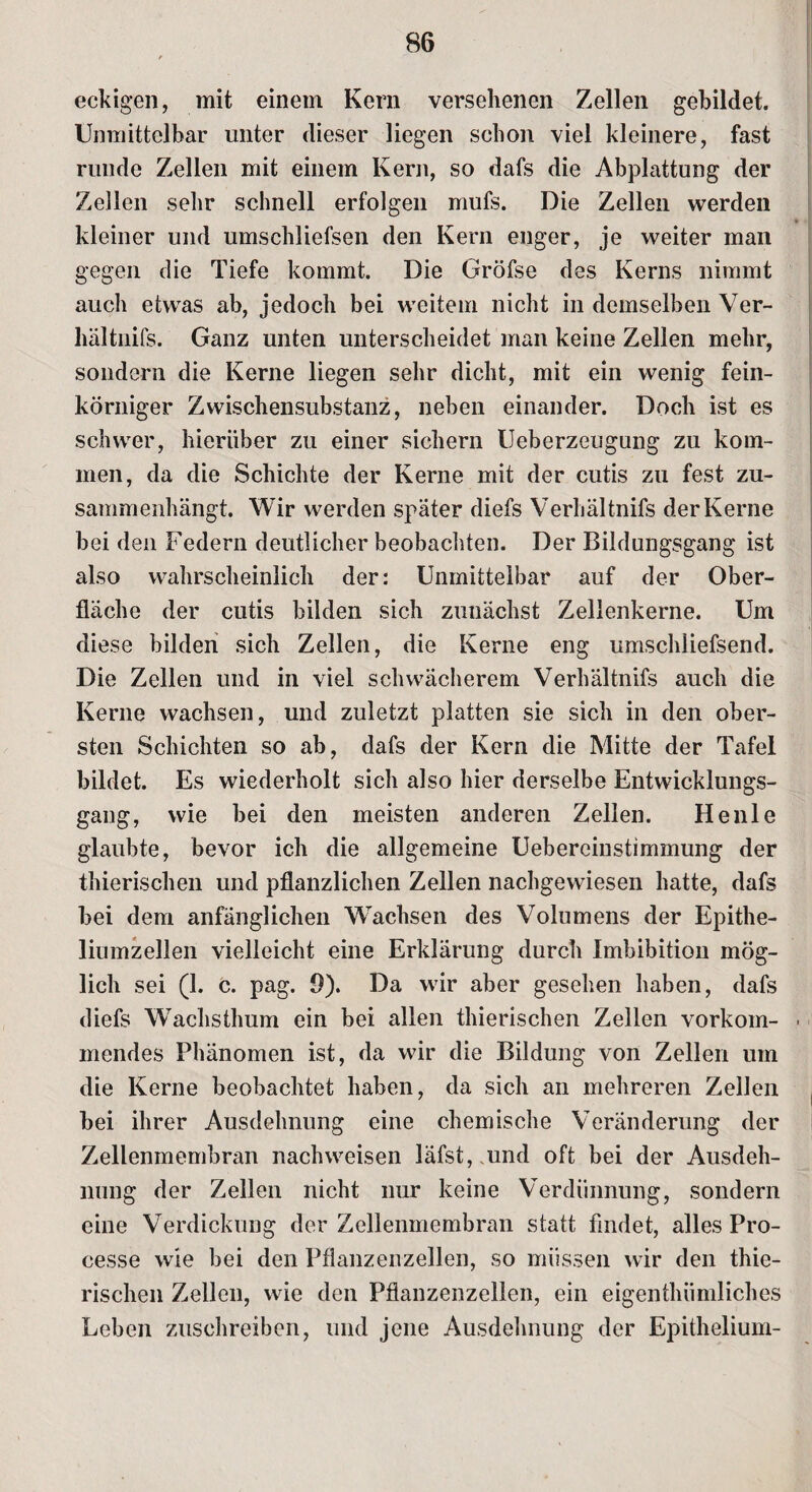 eckigen, mit einem Kern versehenen Zellen gebildet. Unmittelbar unter dieser liegen schon viel kleinere, fast runde Zellen mit einem Kern, so dafs die Abplattung der Zellen sehr schnell erfolgen mufs. Die Zellen werden kleiner und umschliefsen den Kern enger, je weiter man gegen die Tiefe kommt. Die Gröfse des Kerns nimmt auch etwas ab, jedoch bei weitem nicht in demselben Ver- hältnifs. Ganz unten unterscheidet man keine Zellen mehr, sondern die Kerne liegen sehr dicht, mit ein wenig fein¬ körniger Zwischensubstanz, neben einander. Doch ist es schwer, hierüber zu einer sichern Ueberzeugung zu kom¬ men, da die Schichte der Kerne mit der cutis zu fest zu¬ sammenhängt. Wir werden später diefs Verhältnifs der Kerne bei den Federn deutlicher beobachten. Der Bildungsgang ist also wahrscheinlich der: Unmittelbar auf der Ober¬ fläche der cutis bilden sich zunächst Zellenkerne. Um diese bilden sich Zellen, die Kerne eng umschüefsend. Die Zellen und in viel schwächerem Verhältnifs auch die Kerne wachsen, und zuletzt platten sie sich in den ober¬ sten Schichten so ab, dafs der Kern die Mitte der Tafel bildet. Es wiederholt sich also hier derselbe Entwicklungs¬ gang, wie bei den meisten anderen Zellen. He nie glaubte, bevor ich die allgemeine Uebereinstimmung der thierischen und pflanzlichen Zellen nachgewiesen hatte, dafs bei dem anfänglichen Wrachsen des Volumens der Epithe- liumzellen vielleicht eine Erklärung durch Imbibition mög¬ lich sei (1. c. pag. 9). Da wir aber gesehen haben, dafs diefs WTachsthum ein bei allen thierischen Zellen vorkom- . mendes Phänomen ist, da wir die Bildung von Zellen um die Kerne beobachtet haben, da sich an mehreren Zellen bei ihrer Ausdehnung eine chemische Veränderung der Zellenmembran nachweisen läfst, und oft bei der Ausdeh¬ nung der Zellen nicht nur keine Verdünnung, sondern eine Verdickung der Zellenmembran statt findet, alles Pro- cesse wie bei den Pflanzenzellen, so müssen wir den thie¬ rischen Zellen, wie den Pflanzenzellen, ein eigenthümliches Leben zuschreiben, und jene Ausdehnung der Epithelium-