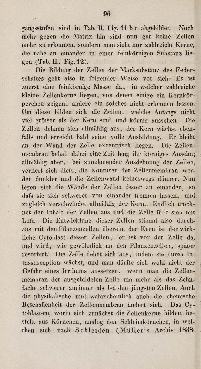 gangsstufen sind in Tab. II. Fig. 11 b c abgebildet. Noch mehr gegen die Matrix hin sind nun gar keine Zellen mehr zu erkennen, sondern man sieht nur zahlreiche Kerne, die nahe an einander in einer feinkörnigen Substanz lie¬ gen (Tab. II.. Fig. 12). Die Bildung der Zellen der Marksubstanz des Feder¬ schaftes geht also in folgender Weise vor sich: Es ist zuerst eine feinkörnige Masse da, in welcher zahlreiche kleine Zellenkerne liegen, von denen einige ein Kernkör¬ perchen zeigen, andere ein solches nicht erkennen lassen. Um diese bilden sich die Zellen, welche Anfangs nicht viel gröfser als der Kern sind und körnig aussehen. Die Zellen dehnen sich allmählig aus, der Kern wächst eben¬ falls und erreicht bald seine volle Ausbildung. Er bleibt an der Wand der Zelle excentrisch liegen. Die Zellen¬ membran behält dabei eine Zeit lang ihr körniges Ansehn; allmählig aber, bei zunehmender Ausdehnung der Zellen, verliert sich diefs, die Konturen der Zellenmembran wer¬ den dunkler und die Zellenwand keineswegs dünner. Nun legen sich die Wände der Zellen fester an einander, so dafs sie sich schwerer von einander trennen lassen, und zugleich verschwindet allmählig der Kern. Endlich trock¬ net der Inhalt der Zellen aus und die Zelle füllt sich mit Luft. Die Entwicklung dieser Zellen stimmt also durch¬ aus mit den Pflanzenzellen überein, der Kern ist der wirk¬ liche Cytoblast dieser Zellen; er ist vor der Zelle da, und wird, wie gewöhnlich an den Pflanzenzellen, später resorbirt. Die Zelle dehnt sich aus, indem sie durch In- tussusception wächst, und man dürfte sich wohl nicht der Gefahr eines Irrthums aussetzen, wenn man die Zellen- , membran der ausgebildeten Zelle um mehr als das Zehn- i fache schwerer annimmt als bei den jüngsten Zellen. Auch die physikalische und wahrscheinlich auch die chemische Beschaffenheit der Zellenmembran ändert sich. Das Cy- • toblastem, worin sich zunächst die Zellenkerne bilden, be¬ steht aus Körnchen, analog den Schleimkörnchen, in wel¬ chen sich nach Schleiden (Müller7s Archiv 183S-