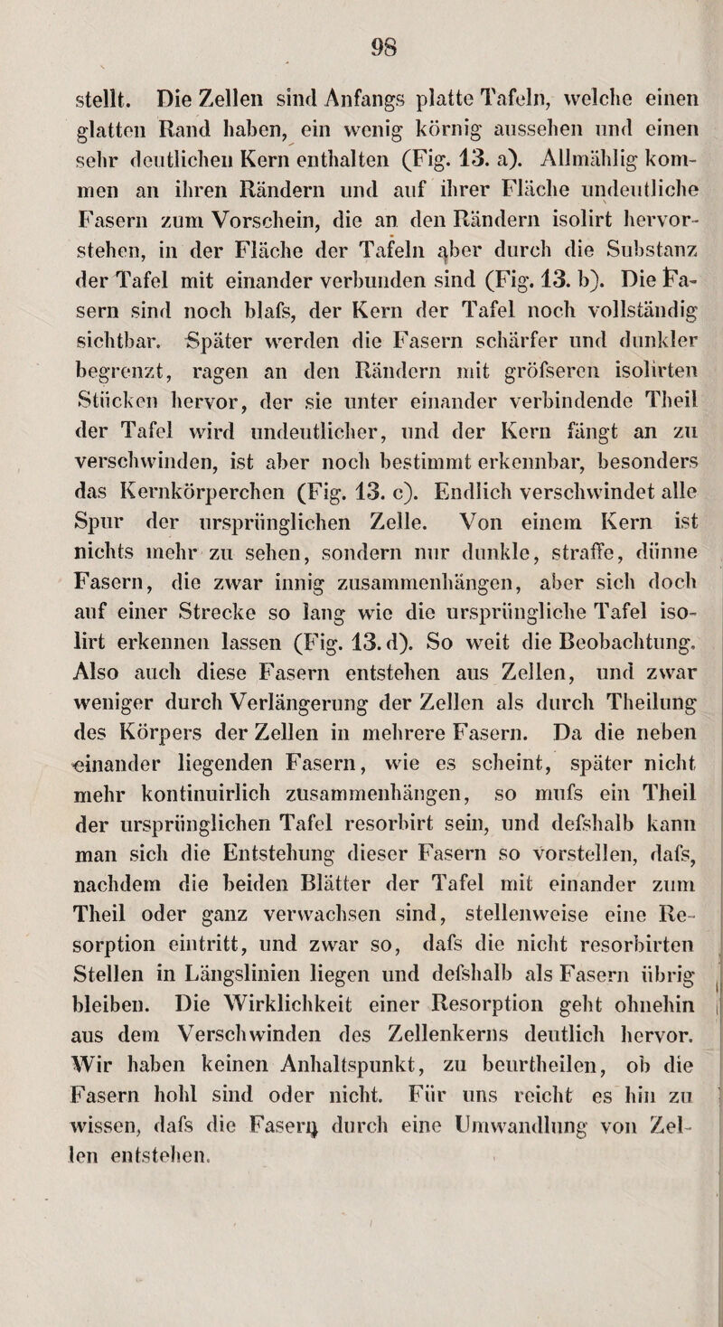 stellt. Die Zellen sind Anfangs platte Tafeln, welche einen glatten Rand haben, ein wenig körnig aussehen und einen sehr deutlichen Kern enthalten (Fig. 13. a). Allmählig kom¬ men an ihren Rändern und auf ihrer Fläche undeutliche Fasern zum Vorschein, die an den Rändern isolirt hervor¬ stehen, in der Fläche der Tafeln ^ber durch die Substanz der Tafel mit einander verbunden sind (Fig. 13. b). Die Fa¬ sern sind noch blafs, der Kern der Tafel noch vollständig sichtbar. Später werden die Fasern schärfer und dunkler begrenzt, ragen an den Rändern mit gröfseren isolirten Stücken hervor, der sie unter einander verbindende Theil der Tafel wird undeutlicher, und der Kern fängt an zu verschwinden, ist aber noch bestimmt erkennbar, besonders das Kernkörperchen (Fig. 13. c). Endlich verschwindet alle Spur der ursprünglichen Zelle. Von einem Kern ist nichts mehr zu sehen, sondern nur dunkle, straffe, dünne Fasern, die zwar innig Zusammenhängen, aber sich doch auf einer Strecke so lang wie die ursprüngliche Tafel iso¬ lirt erkennen lassen (Fig. 13. d). So weit die Beobachtung. Also auch diese Fasern entstehen aus Zellen, und zwar weniger durch Verlängerung der Zellen als durch Theilung des Körpers der Zellen in mehrere Fasern. Da die neben ^einander liegenden Fasern, wie es scheint, später nicht mehr kontinuirlich Zusammenhängen, so mufs ein Theil der ursprünglichen Tafel resorbirt sein, und defshalb kann man sich die Entstehung dieser Fasern so vorstellen, dafs, nachdem die beiden Blätter der Tafel mit einander zum Theil oder ganz verwachsen sind, stellenweise eine Re¬ sorption eintritt, und zwar so, dafs die nicht resorbirten Stellen in Längslinien liegen und defshalb als Fasern übrig bleiben. Die Wirklichkeit einer Resorption geht ohnehin i aus dem Verschwinden des Zellenkerns deutlich hervor. Wir haben keinen Anhaltspunkt, zu beurtheilen, ob die Fasern hohl sind oder nicht. Für uns reicht es hin zu wissen, dafs die Faserij durch eine Umwandlung von Zel¬ len entstehen.