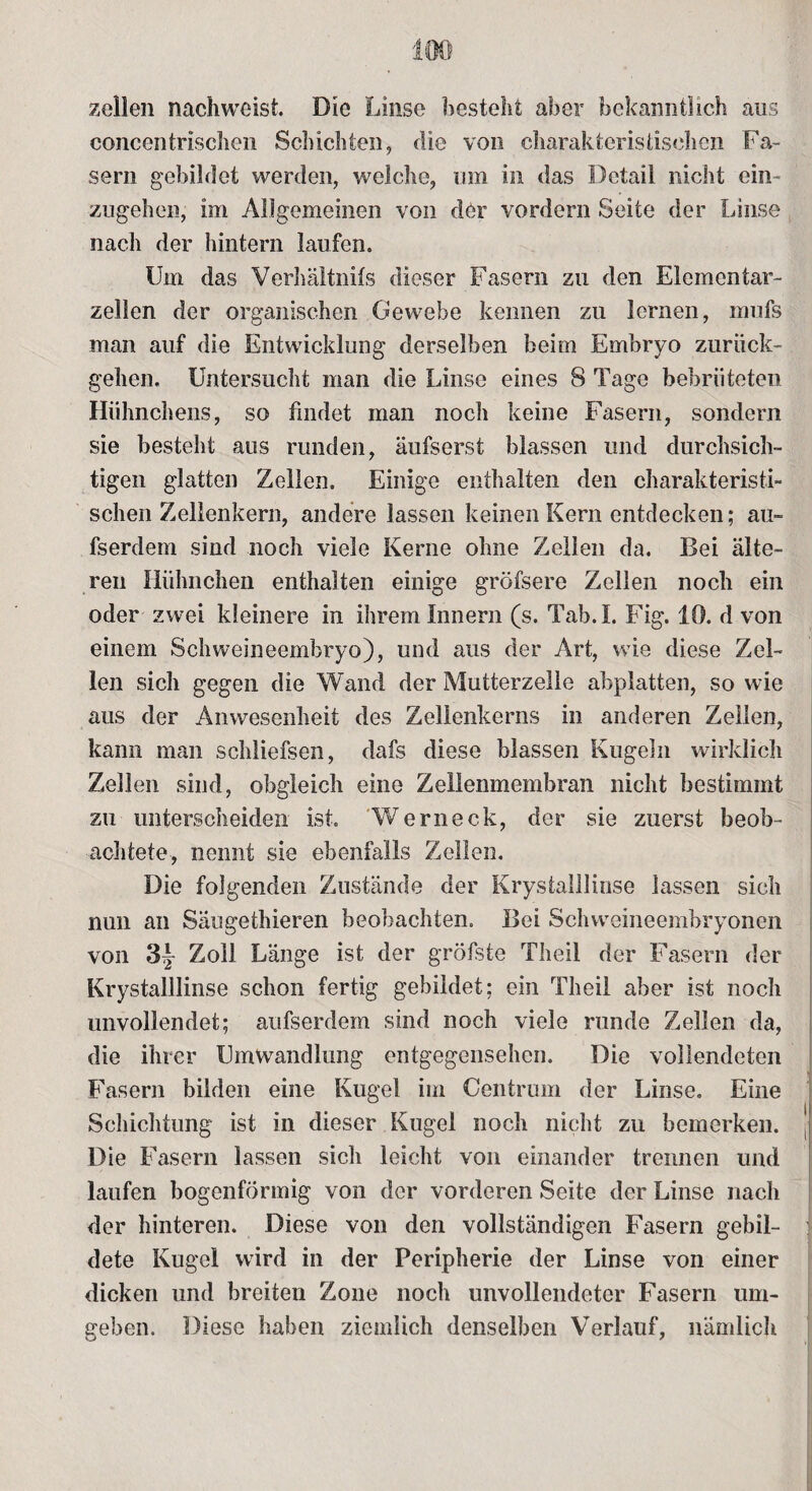 zellen nachweist. Die Linse besteht aber bekanntlich aus concentrischen Schichten, die von charakteristischen Fa¬ sern gebildet werden, welche, um in das Detail nicht ein¬ zugehen, im Allgemeinen von der vordem Seite der Linse nach der hintern laufen. Um das Verhältnis dieser Fasern zu den Elementar¬ zellen der organischen Gewebe kennen zu lernen, rnufs man auf die Entwicklung derselben beim Embryo zurück¬ gehen. Untersucht man die Linse eines 8 Tage bebrüteten Hühnchens, so findet man noch keine Fasern, sondern sie besteht aus runden, äufserst blassen und durchsich¬ tigen glatten Zellen. Einige enthalten den charakteristi¬ schen Zellenkern, andere lassen keinen Kern entdecken; au- fserdem sind noch viele Kerne ohne Zellen da. Bei älte¬ ren Hühnchen enthalten einige grofsere Zellen noch ein oder zwei kleinere in ihrem Innern (s. Tab.I. Fig. 10. d von einem Schweineembryo), und aus der Art, wie diese Zel¬ len sich gegen die Wand der Mutterzelle abplatten, so wie aus der Anwesenheit des Zelienkerns in anderen Zellen, kann man sehliefsen, dafs diese blassen Kugeln wirklich Zellen sind, obgleich eine Zellenmembran nicht bestimmt zu unterscheiden ist. Werneck, der sie zuerst beob¬ achtete, nennt sie ebenfalls Zellen. Die folgenden Zustände der Krystalllinse lassen sieh nun an Säugethieren beobachten. Bei Schweineembryonen von 3tJ- Zoll Länge ist der gröfste Theil der Fasern der Krystalllinse schon fertig gebildet; ein Theil aber ist noch unvollendet; aufserdem sind noch viele runde Zellen da, die ihrer Umwandlung entgegensehen. Die vollendeten Fasern bilden eine Kugel im Centrum der Linse. Eine Schichtung ist in dieser Kugel noch nicht zu bemerken. Die Fasern lassen sich leicht von einander trennen und laufen bogenförmig von der vorderen Seite der Linse nach der hinteren. Diese von den vollständigen Fasern gebil¬ dete Kugel wird in der Peripherie der Linse von einer dicken und breiten Zone noch unvollendeter Fasern um¬ geben. Diese haben ziemlich denselben Verlauf, nämlich