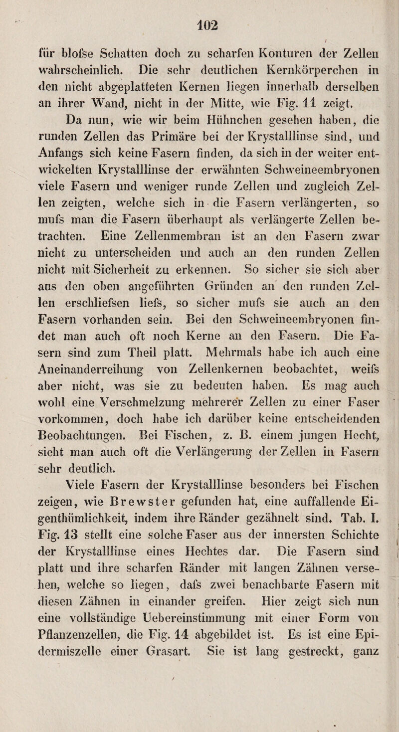 402 für blolse Schatten doch zu scharfen Konturen der Zellen wahrscheinlich. Die sehr deutlichen Kernkörperchen in den nicht abgeplatteten Kernen liegen innerhalb derselben an ihrer Wand, nicht in der Mitte, wie Fig. 11 zeigt. Da nun, wie wir beim Hühnchen gesehen haben, die runden Zellen das Primäre bei der Krystalllinse sind, und Anfangs sich keine Fasern finden, da sich in der weiter ent¬ wickelten Krystalllinse der erwähnten Schweineembryonen viele Fasern und weniger runde Zellen und zugleich Zel¬ len zeigten, welche sich in die Fasern verlängerten, so inufs man die Fasern überhaupt als verlängerte Zellen be¬ trachten. Eine Zellenmembran ist an den Fasern zwar nicht zu unterscheiden und auch an den runden Zellen nicht mit Sicherheit zu erkennen. So sicher sie sich aber aas den oben angeführten Gründen an den runden Zel¬ len erscldiefsen liefs, so sicher mufs sie auch an den Fasern vorhanden sein. Bei den Schweineembryonen fin¬ det man auch oft noch Kerne an den Fasern. Die Fa¬ sern sind zum Theil platt. Mehrmals habe ich auch eine Aneinanderreihung von Zellenkernen beobachtet, weifs aber nicht, was sie zu bedeuten haben. Es mag auch wohl eine Verschmelzung mehrerer Zellen zu einer Faser Vorkommen, doch habe ich darüber keine entscheidenden Beobachtungen. Bei Fischen, z. B. einem jungen Hecht, sieht man auch oft die Verlängerung der Zellen in Fasern sehr deutlich. Viele Fasern der Krystalllinse besonders bei Fischen zeigen, wie Brewster gefunden hat, eine auffallende Ei¬ gentümlichkeit, indem ihre Ränder gezähnelt sind. Tab. I. Fig. 13 stellt eine solche Faser aus der innersten Schichte der Krystalllinse eines Hechtes dar. Die Fasern sind platt und ihre scharfen Ränder mit langen Zähnen verse¬ hen, welche so liegen, dafs zwei benachbarte Fasern mit diesen Zähnen in einander greifen. Hier zeigt sich nun eine vollständige Uebereinstimmung mit einer Form von Pflanzenzellen, die Fig. 14 abgebildet ist. Es ist eine Epi- dermiszelle einer Grasart. Sie ist lang gestreckt, ganz