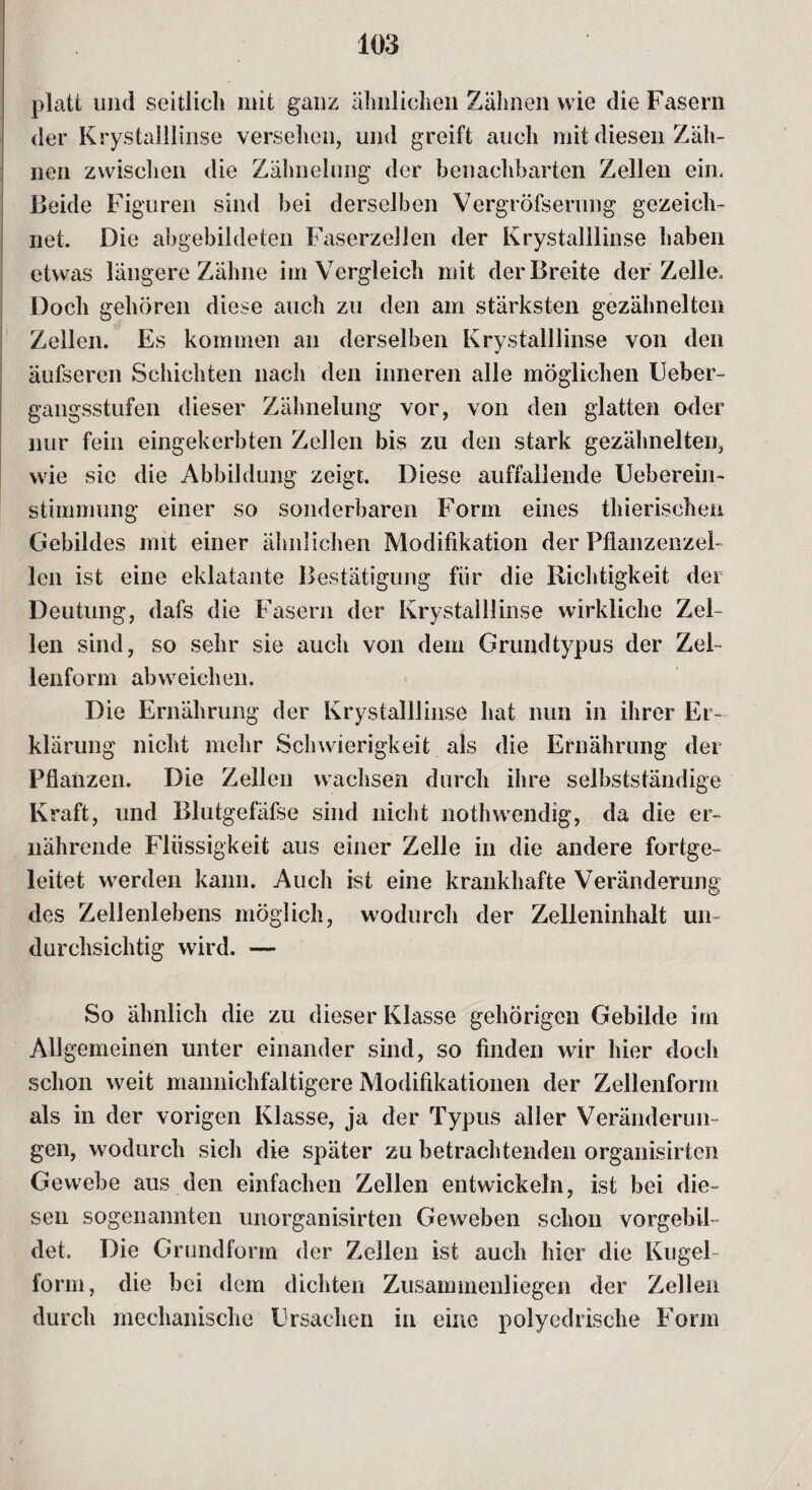 platt und seitlich mit ganz ähnlichen Zähnen wie die Fasern der Krystalllinse versehen, und greift auch mit diesen Zäh¬ nen zwischen die Zähnelung der benachbarten Zellen ein. Beide Figuren sind bei derselben Vergröfserung gezeich¬ net. Die abgebildeten Faserzellen der Krystalllinse haben etwas längere Zähne im Vergleich mit der Breite der Zelle. Doch gehören diese auch zu den am stärksten gezähnelten Zellen. Es kommen an derselben Krystalllinse von den äufseren Schichten nach den inneren alle möglichen Ueber- gangsstufen dieser Zähnelung vor, von den glatten oder nur fein eingekerbten Zellen bis zu den stark gezähnelten, wie sie die Abbildung zeigt. Diese auffallende Ueberein- Stimmung einer so sonderbaren Form eines thierischen Gebildes mit einer ähnlichen Modifikation der Pflanzenzel- len ist eine eklatante Bestätigung für die Richtigkeit der Deutung, dafs die Fasern der Krystalllinse wirkliche Zel¬ len sind, so sehr sie auch von dem Grundtypus der Zel¬ lenform abweichen. Die Ernährung der Krystalllinse hat nun in ihrer Er¬ klärung nicht mehr Schwierigkeit als die Ernährung der Pflanzen. Die Zellen wachsen durch ihre selbstständige Kraft, und Blutgefäfse sind nicht nothwendig, da die er¬ nährende Flüssigkeit aus einer Zelle in die andere fortge¬ leitet werden kann. Auch ist eine krankhafte Veränderung des Zellenlebens möglich, wodurch der Zelleninhalt un¬ durchsichtig wird. — So ähnlich die zu dieser Klasse gehörigen Gebilde im Allgemeinen unter einander sind, so finden wir hier doch schon weit mannichfaltigere Modifikationen der Zellenform als in der vorigen Klasse, ja der Typus aller Veränderun¬ gen, wodurch sich die später zu betrachtenden organisirten Gewebe aus den einfachen Zellen entwickeln, ist bei die¬ sen sogenannten unorganisirten Geweben schon vorgebil¬ det. Die Grundform der Zellen ist auch hier die Kugel¬ form, die bei dem dichten Zusammenliegen der Zellen durch mechanische Ursachen in eine polyedrische Form