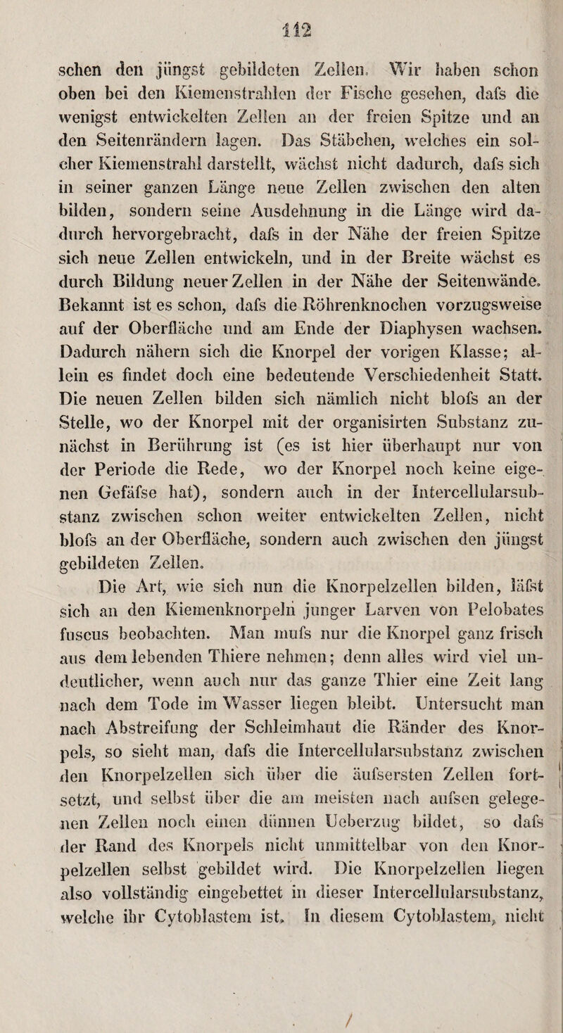 sehen den jüngst gebildeten Zellen, Wir haben schon oben bei den Kiemenstrahlen der Fische gesehen, dafs die wenigst entwickelten Zellen an der freien Spitze und an den Seitenrändern lagen. Das Stäbchen, welches ein sol¬ cher Kiemenstrahl darstellt, wächst nicht dadurch, dafs sich in seiner ganzen Länge neue Zellen zwischen den alten bilden, sondern seine Ausdehnung in die Länge wird da¬ durch hervorgebracht, dafs in der Nähe der freien Spitze sich neue Zellen entwickeln, und in der Breite wächst es durch Bildung neuer Zellen in der Nähe der Seitenwände» Bekannt ist es schon, dafs die Röhrenknochen vorzugsweise auf der Oberfläche und am Ende der Diaphysen wachsen. Dadurch nähern sich die Knorpel der vorigen Klasse; al¬ lein es findet doch eine bedeutende Verschiedenheit Statt. Die neuen Zellen bilden sich nämlich nicht blofs an der Stelle, wo der Knorpel mit der organisirten Substanz zu¬ nächst in Berührung ist (es ist hier überhaupt nur von der Periode die Rede, wo der Knorpel noch keine eige¬ nen Gefäfse hat), sondern auch in der Intercellularsub¬ stanz zwischen schon weiter entwickelten Zellen, nicht blofs an der Oberfläche, sondern auch zwischen den jüngst gebildeten Zellen. Die Art, wie sich nun die Knorpelzellen bilden, läfst sich an den Kiemenknorpeln junger Larven von Pelobates fuscus beobachten. Man mufs nur die Knorpel ganz frisch aus dem lebenden Thiere nehmen; denn alles wird viel un¬ deutlicher, wenn auch nur das ganze Thier eine Zeit lang nach dem Tode im Wasser liegen bleibt. Untersucht man nach Abstreifung der Schleimhaut die Ränder des Knor¬ pels, so sieht man, dafs die Intercellularsubstanz zwischen den Knorpelzellen sich über die äufsersten Zellen fort¬ setzt, und selbst über die am meisten nach aufsen gelege¬ nen Zellen noch einen dünnen Ueberzug bildet, so dafs der Rand des Knorpels nicht unmittelbar von den Knor¬ pelzellen selbst gebildet wird. Die Knorpelzellen liegen also vollständig eingebettet in dieser Intercellularsubstanz, welche ihr Cytoblastem ist In diesem Cytoblastem, nicht /