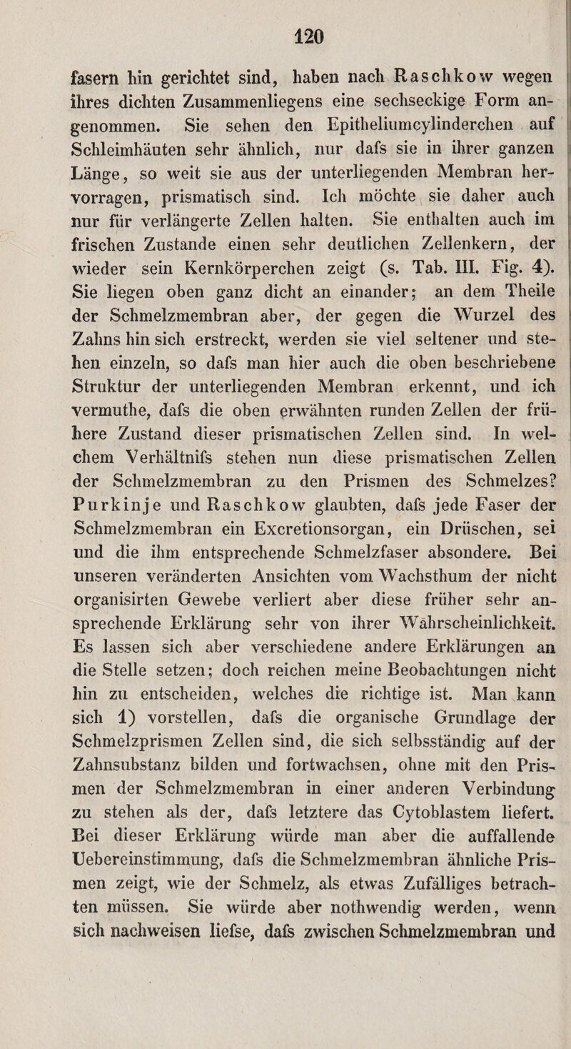 fasern hin gerichtet sind, haben nach Raschkow wegen ihres dichten Zusammenlegens eine sechseckige Form an¬ genommen. Sie sehen den Epitheliumcylinderchen auf Schleimhäuten sehr ähnlich, nur dafs sie in ihrer ganzen Länge, so weit sie aus der unterliegenden Membran her¬ vorragen, prismatisch sind. Ich möchte sie daher auch nur für verlängerte Zellen halten. Sie enthalten auch im frischen Zustande einen sehr deutlichen Zellenkern, der wieder sein Kernkörperchen zeigt (s. Tab. III. Fig. 4). Sie liegen oben ganz dicht an einander; an dem Theile der Schmelzmembran aber, der gegen die Wurzel des Zahns hin sich erstreckt, werden sie viel seltener und ste¬ hen einzeln, so dafs man hier auch die oben beschriebene Struktur der unterliegenden Membran erkennt, und ich vermuthe, dafs die oben erwähnten runden Zellen der frü¬ here Zustand dieser prismatischen Zellen sind. In wel¬ chem Verhältnifs stehen nun diese prismatischen Zellen der Schmelzmembran zu den Prismen des Schmelzes? Purkinje und Raschkow glaubten, dafs jede Faser der Schmelzmembran ein Excretionsorgan, ein Drüschen, sei und die ihm entsprechende Schmelzfaser absondere. Bei unseren veränderten Ansichten vom Wachsthum der nicht organisirten Gewebe verliert aber diese früher sehr an¬ sprechende Erklärung sehr von ihrer Wahrscheinlichkeit. Es lassen sich aber verschiedene andere Erklärungen an die Stelle setzen; doch reichen meine Beobachtungen nicht hin zu entscheiden, welches die richtige ist. Man kann sich 1) vorstellen, dafs die organische Grundlage der Schmelzprismen Zellen sind, die sich selbsständig auf der Zahnsubstanz bilden und fortwachsen, ohne mit den Pris¬ men der Schmelzmembran in einer anderen Verbindung zu stehen als der, dafs letztere das Cytoblastem liefert. Bei dieser Erklärung würde man aber die auffallende Uebereinstimmung, dafs die Schmelzmembran ähnliche Pris¬ men zeigt, wie der Schmelz, als etwas Zufälliges betrach¬ ten müssen. Sie würde aber nothwendig werden, wenn sich nachweisen liefse, dafs zwischen Schmelzmembran und