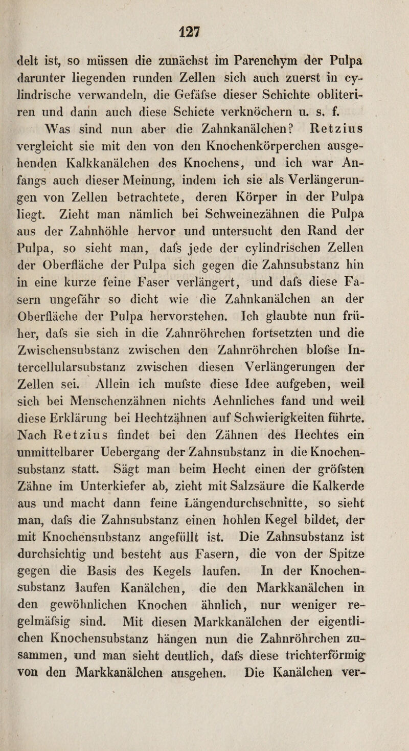 delt ist, so müssen die zunächst im Parenchym der Pulpa darunter liegenden runden Zellen sich auch zuerst in cy- lindrische verwandeln, die Gefäfse dieser Schichte obliteri- ren und dann auch diese Schicte verknöchern u. s. f. Was sind nun aber die Zahnkanälchen? Retzius vergleicht sie mit den von den Knochenkörperchen ausge¬ henden Kalkkanälchen des Knochens, und ich war An¬ fangs auch dieser Meinung, indem ich sie als Verlängerun¬ gen von Zellen betrachtete, deren Körper in der Pulpa liegt. Zieht man nämlich bei Schweinezähnen die Pulpa aus der Zahnhöhle hervor und untersucht den Rand der Pulpa, so sieht man, dafs jede der cylindrischen Zellen der Oberfläche der Pulpa sich gegen die Zahnsubstanz hin in eine kurze feine Faser verlängert, und dafs diese Fa¬ sern ungefähr so dicht wie die Zahnkanälchen an der Oberfläche der Pulpa hervorstehen. Ich glaubte nun frü¬ her, dafs sie sich in die Zahnröhrchen fortsetzten und die Zwischensubstanz zwischen den Zahnröhrchen blofse In¬ tercellularsubstanz zwischen diesen Verlängerungen der Zellen sei. Allein ich mufste diese Idee aufgeben, weil sich bei Menschenzähnen nichts Aehnliches fand und weil diese Erklärung bei Hechtzähnen auf Schwierigkeiten führte. Nach Retzius findet bei den Zähnen des Hechtes ein unmittelbarer Uebergang der Zahnsubstanz in die Knochen¬ substanz statt. Sägt man beim Hecht einen der gröfsten Zähne im Unterkiefer ab, zieht mit Salzsäure die Kalkerde aus und macht dann feine Längendurchschnitte, so sieht man, dafs die Zahnsubstanz einen hohlen Kegel bildet, der mit Knochensubstanz angefüllt ist. Die Zahnsubstanz ist durchsichtig und besteht aus Fasern, die von der Spitze gegen die Basis des Kegels laufen. In der Knochen¬ substanz laufen Kanälchen, die den Markkanälchen in den gewöhnlichen Knochen ähnlich, nur weniger re- gelmäfsig sind. Mit diesen Markkanälchen der eigentli¬ chen Knochensubstanz hängen nun die Zahnröhrchen zu¬ sammen, und man sieht deutlich, dafs diese trichterförmig von den Markkanälchen ausgehen. Die Kanälchen ver-