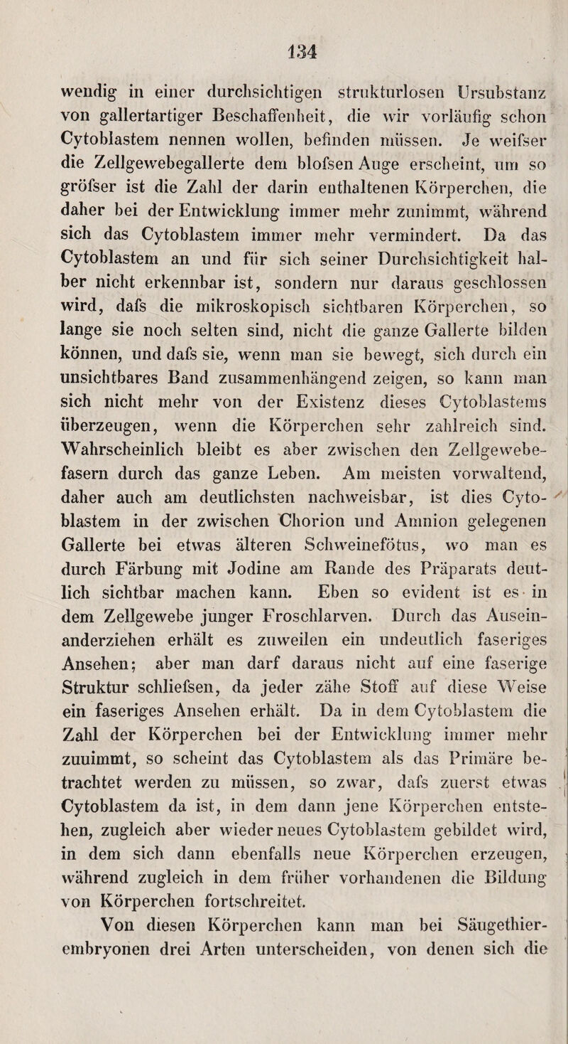 wendig in einer durchsichtigen strukturlosen Ursubstanz von gallertartiger Beschaffenheit, die wir vorläufig schon Cytoblastem nennen wollen, befinden müssen. Je weifser die Zellgewebegallerte dem blofsen Auge erscheint, um so gröfser ist die Zahl der darin enthaltenen Körperchen, die daher bei der Entwicklung immer mehr zunimmt, während sich das Cytoblastem immer mehr vermindert. Da das Cytoblastem an und fiir sich seiner Durchsichtigkeit hal¬ ber nicht erkennbar ist, sondern nur daraus geschlossen wird, dafs die mikroskopisch sichtbaren Körperchen, so lange sie noch selten sind, nicht die ganze Gallerte bilden können, und dafs sie, wenn man sie bewegt, sich durch ein unsichtbares Band zusammenhängend zeigen, so kann man sich nicht mehr von der Existenz dieses Cytoblastems überzeugen, wenn die Körperchen sehr zahlreich sind. Wahrscheinlich bleibt es aber zwischen den Zellgewebe¬ fasern durch das ganze Leben. Am meisten vorwaltend, daher auch am deutlichsten nachweisbar, ist dies Cyto¬ blastem in der zwischen Chorion und Amnion gelegenen Gallerte bei etwas älteren Schweinefötus, wo man es durch Färbung mit Jodine am Rande des Präparats deut¬ lich sichtbar machen kann. Eben so evident ist es in dem Zellgewebe junger Froschlarven. Durch das Ausein¬ anderziehen erhält es zuweilen ein undeutlich faseriges Ansehen; aber man darf daraus nicht auf eine faserige Struktur schliefsen, da jeder zähe Stoff auf diese Weise ein faseriges Ansehen erhält. Da in dem Cytoblastem die Zahl der Körperchen bei der Entwicklung immer mehr zuuimmt, so scheint das Cytoblastem als das Primäre be¬ trachtet werden zu müssen, so zwar, dafs zuerst etwas Cytoblastem da ist, in dem dann jene Körperchen entste¬ hen, zugleich aber wieder neues Cytoblastem gebildet wird, in dem sich dann ebenfalls neue Körperchen erzeugen, während zugleich in dem früher vorhandenen die Bildung von Körperchen fortschreitet. Von diesen Körperchen kann man bei Säugethier¬ embryonen drei Arten unterscheiden, von denen sich die