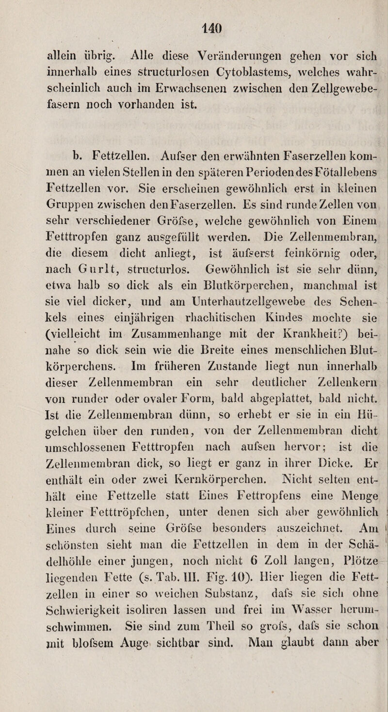 allein übrig. Alle diese Veränderungen gehen vor sich innerhalb eines structurlosen Cytoblastems, welches wahr¬ scheinlich auch im Erwachsenen zwischen den Zellgewebe¬ fasern noch vorhanden ist. b. Fettzellen. Aufser den erwähnten Faserzellen kom¬ men an vielen Stellen in den späteren Perioden des Fötallebens Fettzellen vor. Sie erscheinen gewöhnlich erst in kleinen Gruppen zwischen den Faserzellen. Es sind runde Zellen von sehr verschiedener Gröfse, welche gewöhnlich von Einem Fetttropfen ganz ausgefüllt werden. Die Zellenmembran, die diesem dicht anliegt, ist äufserst feinkörnig oder, nach Gurlt, structurlos. Gewöhnlich ist sie sehr dünn, etwa halb so dick als ein Blutkörperchen, manchmal ist sie viel dicker, und am Unterhautzellgewebe des Schen¬ kels eines einjährigen rhachitischen Kindes mochte sie (vielleicht im Zusammenhänge mit der Krankheit?) bei¬ nahe so dick sein wie die Breite eines menschlichen Blut¬ körperchens. Im früheren Zustande liegt nun innerhalb dieser Zellenmembran ein sehr deutlicher Zellenkern von runder oder ovaler Form, bald abgeplattet, bald nicht. Ist die Zellenmembran dünn, so erhebt er sie in ein Ilii- gelchen über den runden, von der Zellenmembran dicht umschlossenen Fetttropfen nach aufsen hervor; ist die Zellenmembran dick, so liegt er ganz in ihrer Dicke. Er enthält ein oder zwei Kernkörperchen. Nicht selten ent¬ hält eine Fettzelle statt Eines Fettropfens eine Menge kleiner Fetttröpfchen, unter denen sich aber gewöhnlich Eines durch seine Gröfse besonders auszeichnet. Am '| schönsten sieht man die Fettzellen in dem in der Schä- 1 delhöhle einer jungen, noch nicht 6 Zoll langen, Plötze liegenden Fette (s. Tab. III. Fig. 10). Hier liegen die Fett¬ zellen in einer so weichen Substanz, dafs sie sich ohne Schwierigkeit isoliren lassen und frei im Wasser herum- schwimmen. Sie sind zum Theil so grofs, dafs sie schon mit blofsem Auge sichtbar sind. Man glaubt dann aber