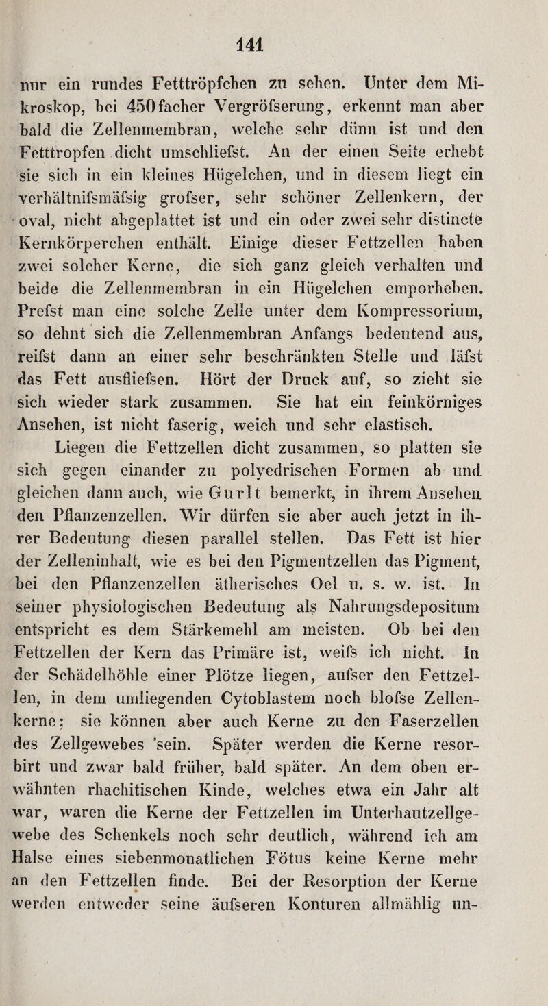 nur ein rundes Fetttröpfchen zu sehen. Unter dem Mi¬ kroskop, hei 450facher Vergröfserung, erkennt man aber bald die Zellenmembran, welche sehr dünn ist und den Fetttropfen dicht umschliefst. An der einen Seite erhebt sie sich in ein kleines Hügelclien, und in diesem liegt ein verhältnifsniäfsig grofser, sehr schöner Zellenkern, der oval, nicht abgeplattet ist und ein oder zwei sehr distincte Kernkörperchen enthält. Einige dieser Fettzellen haben zwei solcher Kerne, die sich ganz gleich verhalten und beide die Zellenmembran in ein Hiigelchen emporheben. Prefst man eine solche Zelle unter dem Kompressorium, so dehnt sich die Zellenmembran Anfangs bedeutend aus, reifst dann an einer sehr beschränkten Stelle und läfst das Fett ausfliefsen. Hört der Druck auf, so zieht sie sich wieder stark zusammen. Sie hat ein feinkörniges Ansehen, ist nicht faserig, weich und sehr elastisch. Liegen die Fettzellen dicht zusammen, so platten sie sich gegen einander zu polyedrischen Formen ab und gleichen dann auch, wie Gur 1t bemerkt, in ihrem Ansehen den Pflanzenzellen. Wir dürfen sie aber auch jetzt in ih¬ rer Bedeutung diesen parallel stellen. Das Fett ist hier der Zelleninhalt, wie es bei den Pigmentzellen das Pigment, bei den Pflanzenzellen ätherisches Oel u. s. w. ist. In seiner physiologischen Bedeutung als Nahrungsdepositum entspricht es dem Stärkemehl am meisten. Ob bei den Fettzellen der Kern das Primäre ist, weifs ich nicht. In der Schädelhöhle einer Plötze liegen, aufser den Fettzel¬ len, in dem umliegenden Cytoblastem noch blofse Zellen¬ kerne; sie können aber auch Kerne zu den Faserzellen des Zellgewebes sein. Später werden die Kerne resor- birt und zwar bald früher, bald später. An dem oben er¬ wähnten rhachitischen Kinde, welches etwa ein Jahr alt war, waren die Kerne der Fettzellen im Unterhautzellge¬ webe des Schenkels noch sehr deutlich, während ich am Halse eines siebenmonatlichen Fötus keine Kerne mehr an den Fettzellen finde. Bei der Resorption der Kerne werden entweder seine äufseren Konturen ailmählig un-