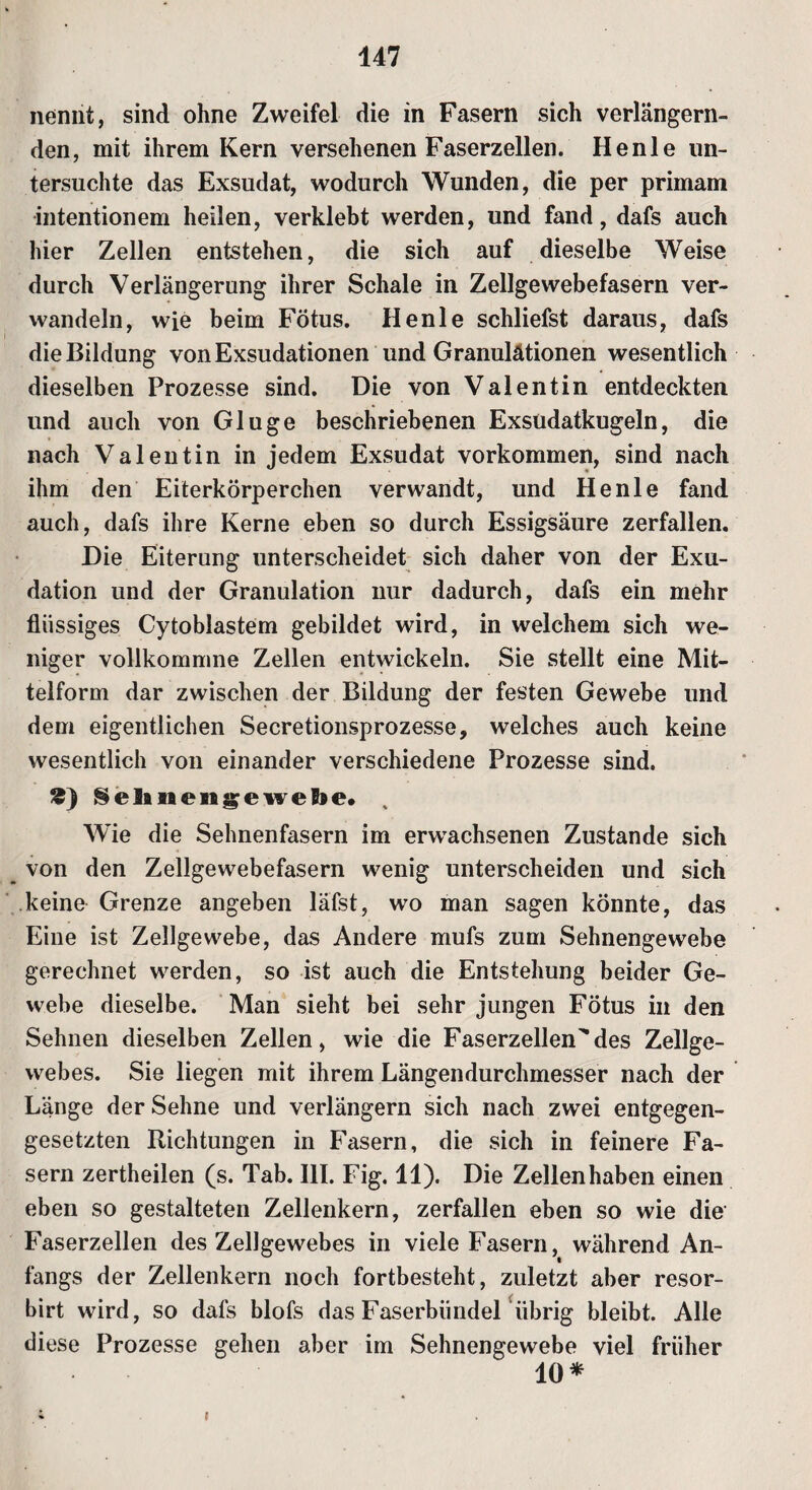 nennt, sind ohne Zweifel die in Fasern sich verlängern¬ den, mit ihrem Kern versehenen Faserzellen. Henle un¬ tersuchte das Exsudat, wodurch Wunden, die per primam intentionem heilen, verklebt werden, und fand, dafs auch hier Zellen entstehen, die sich auf dieselbe Weise durch Verlängerung ihrer Schale in Zellgewebefasern ver¬ wandeln, wie beim Fötus. Henle schliefst daraus, dafs die Bildung von Exsudationen und Granulationen wesentlich dieselben Prozesse sind. Die von Valentin entdeckten und auch von Glu ge beschriebenen Exsüdatkugeln, die nach Valentin in jedem Exsudat Vorkommen, sind nach ihm den Eiterkörperchen verwandt, und Henle fand auch, dafs ihre Kerne eben so durch Essigsäure zerfallen. Die Eiterung unterscheidet sich daher von der Exu- dation und der Granulation nur dadurch, dafs ein mehr flüssiges Cytoblastem gebildet wird, in welchem sich we¬ niger vollkommne Zellen entwickeln. Sie stellt eine Mit¬ telform dar zwischen der Bildung der festen Gewebe und dem eigentlichen Secretionsprozesse, welches auch keine wesentlich von einander verschiedene Prozesse sind. *) Selanengewefoe. Wie die Sehnenfasern im erwachsenen Zustande sich von den Zellgewebefasern wenig unterscheiden und sich keine Grenze angeben läfst, wo man sagen könnte, das Eine ist Zellgewebe, das Andere mufs zum Sehnengewebe gerechnet werden, so ist auch die Entstehung beider Ge¬ webe dieselbe. Man sieht bei sehr jungen Fötus in den Sehnen dieselben Zellen, wie die Faserzellen^des Zellge¬ webes. Sie liegen mit ihrem Längendurchmesser nach der Länge der Sehne und verlängern sich nach zwei entgegen¬ gesetzten Richtungen in Fasern, die sich in feinere Fa¬ sern zertheilen (s. Tab. III. Fig. 11). Die Zellenhaben einen eben so gestalteten Zellenkern, zerfallen eben so wie die Faserzellen des Zellgewebes in viele Fasern, während An¬ fangs der Zellenkern noch fortbesteht, zuletzt aber resor- birt wird, so dafs blofs das Faserbündel übrig bleibt. Alle diese Prozesse gehen aber im Sehnengewebe viel früher 10* »