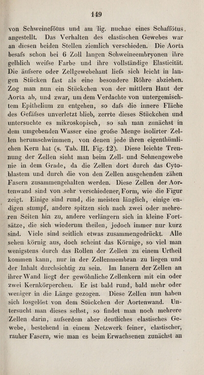 von Schweinefötus und am !lig. nuchae eines Schaffötus, angestellt. Das Verhalten des elastischen Gewebes war an diesen beiden Stellen ziemlich verschieden. Die Aorta besafs schon bei 6 Zoll langen Schweineembryonen ihre gelblich weifse Farbe und ihre vollständige Elasticität. Die äufsere oder Zellgewebehaut liefs sich leicht in lan¬ gen Stücken fast als eine besondere Röhre abziehen. Zog man nun ein Stückchen von der mittlern Haut der Aorta ab, und zwar, um dem Verdachte von untergemisch¬ tem Epithelium zu entgehen, so dafs die innere Fläche des Gefäfses unverletzt blieb, zerrte dieses Stückchen und untersuchte es mikroskopisch, so sah man zunächst in dem umgebenden Wasser eine grofse Menge isolirter Zel¬ len herumschwimmen, von denen jede ihren eigenthiimli- chen Kern hat (s. Tab. III. Fig. 12). Diese leichte Tren¬ nung der Zellen sieht man beim Zell- und Sehnengewebe nie in dem Grade, da die Zellen dort durch das Cyto- hlastem und durch die von den Zellen ausgehenden zähen Fasern zusammengehalten werden. Diese Zellen der Aor¬ tenwand sind von ,sehr verschiedener^ Form, wie die Figur zeigt. Einige sind rund, die meisten länglich, einige en¬ digen stumpf, andere spitzen sich nach zwei oder mehre¬ ren Seiten hin zu, andere verlängern sich in kleine Fort¬ sätze, die sich wiederum theilen, jedoch immer nur kurz sind. Viele sind seitlich etwas zusammengedrückt. Alle sehen körnig aus, doch scheint das Körnige, so viel man wenigstens durch das Rollen der Zellen zu einem Urtheil kommen kann, nur in der Zellenmembran zu liegen und der Inhalt durchsichtig zu sein. Im Innern der Zellen an ihrer Wand liegt der gewöhnliche Zellenkern mit ein oder zwei Kernkörperchen. Er ist bald rund, bald mehr oder weniger in die Länge gezogen. Diese Zellen nun haben sich losgelöst von dem Stückchen der Aortenwand. Un¬ tersucht man dieses selbst, so findet man noch mehrere Zellen darin, aufserdem aber deutliches elastisches Ge¬ webe, bestehend in einem Netzwerk feiner, elastischer, rauher Fasern, wie man es beim Erwachsenen zunächst an