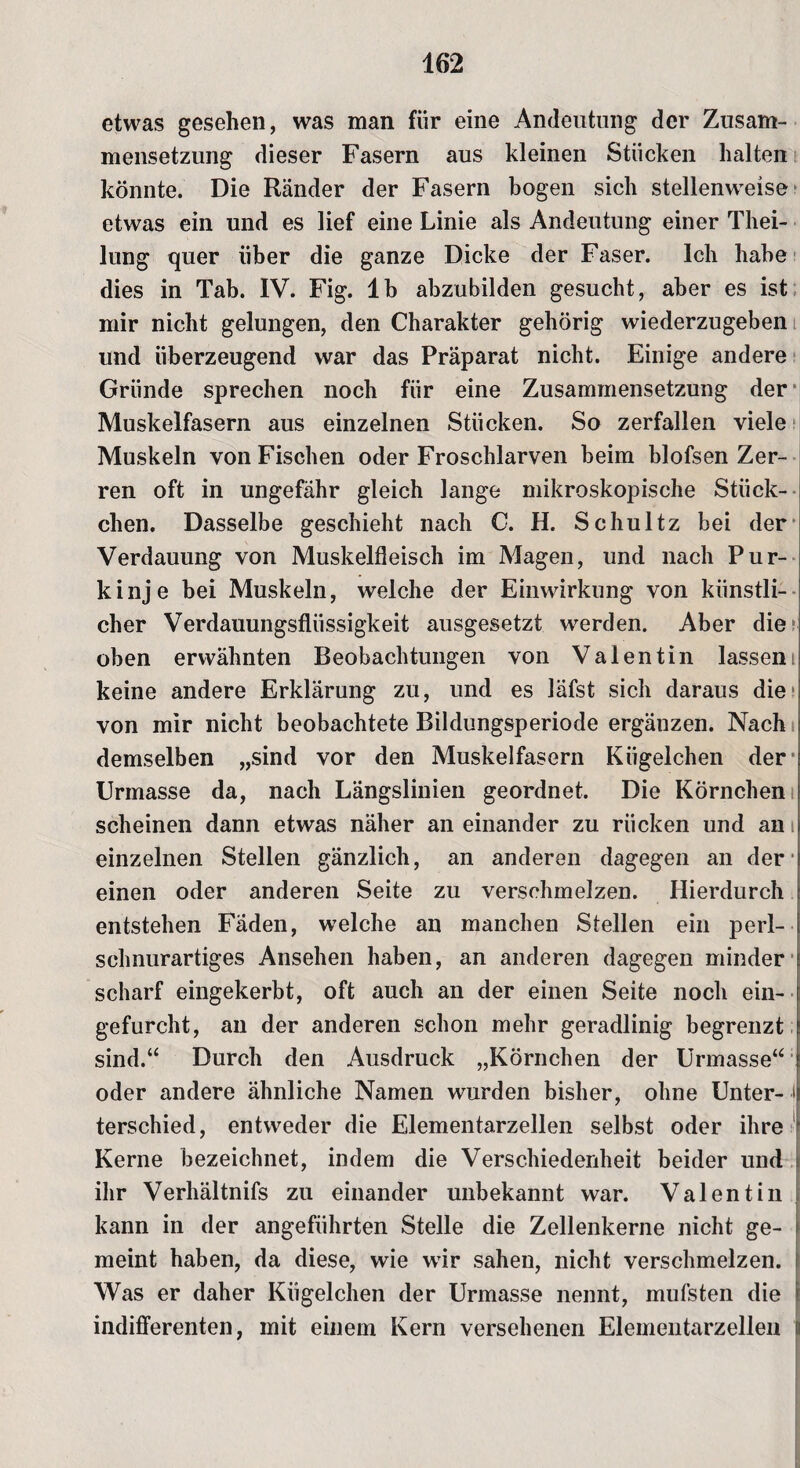 etwas gesehen, was man für eine Andeutung der Zusam¬ mensetzung dieser Fasern aus kleinen Stücken halten könnte. Die Ränder der Fasern bogen sich stellenweise etwas ein und es lief eine Linie als Andeutung einer Thei- lung quer über die ganze Dicke der Faser. Ich habe dies in Tab. IV. Fig. lb abzubilden gesucht, aber es ist mir nicht gelungen, den Charakter gehörig wiederzugeben und überzeugend war das Präparat nicht. Einige andere Gründe sprechen noch für eine Zusammensetzung der Muskelfasern aus einzelnen Stücken. So zerfallen viele Muskeln von Fischen oder Froschlarven beim blofsen Zer¬ ren oft in ungefähr gleich lange mikroskopische Stück¬ chen. Dasselbe geschieht nach C. H. Schultz bei der Verdauung von Muskelfleisch im Magen, und nach Pur¬ kinje bei Muskeln, welche der Einwirkung von künstli¬ cher Verdauungsflüssigkeit ausgesetzt werden. Aber die1 oben erwähnten Beobachtungen von Valentin lassem keine andere Erklärung zu, und es läfst sich daraus die von mir nicht beobachtete Bildungsperiode ergänzen. Nach demselben „sind vor den Muskelfasern Kügelchen der Urmasse da, nach Längslinien geordnet. Die Körnchen scheinen dann etwas näher an einander zu rücken und an i einzelnen Stellen gänzlich, an anderen dagegen an der einen oder anderen Seite zu verschmelzen. Hierdurch entstehen Fäden, welche an manchen Stellen ein perl¬ schnurartiges Ansehen haben, an anderen dagegen minder scharf eingekerbt, oft auch an der einen Seite noch ein¬ gefurcht, an der anderen schon mehr geradlinig begrenzt sind.“ Durch den Ausdruck „Körnchen der Urmasse“ oder andere ähnliche Namen wurden bisher, ohne Unter- i terschied, entweder die Elementarzellen selbst oder ihre Kerne bezeichnet, indem die Verschiedenheit beider und ihr Verhältnifs zu einander unbekannt war. Valentin kann in der angeführten Stelle die Zellenkerne nicht ge¬ meint haben, da diese, wie wir sahen, nicht verschmelzen. i Was er daher Kügelchen der Urmasse nennt, mufsten die > indifferenten, mit einem Kern versehenen Elementarzellen I