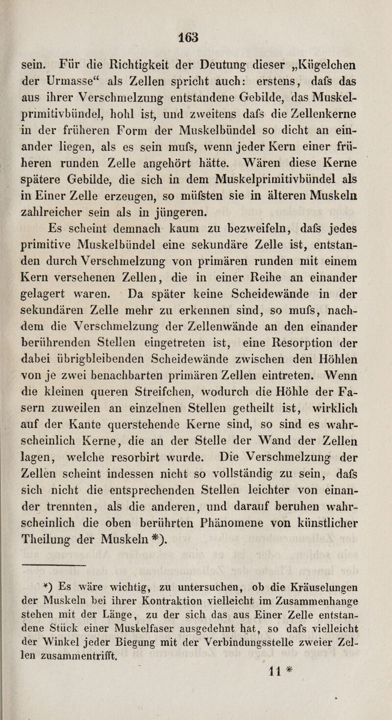 sein. Für die Richtigkeit der Deutung dieser „Kügelchen der Urmasse“ als Zellen spricht auch: erstens, dafs das aus ihrer Verschmelzung entstandene Gebilde, das Muskel- primitivbiindel, hohl ist, und zweitens dafs die Zellenkerne in der früheren Form der Muskelbündel so dicht an ein¬ ander liegen, als es sein mufs, wenn jeder Kern einer frü¬ heren runden Zelle angehört hätte. Wären diese Kerne spätere Gebilde, die sich in dem Muskelprimitivbündel als in Einer Zelle erzeugen, so müfsten sie in älteren Muskeln zahlreicher sein als in jüngeren. Es scheint demnach kaum zu bezweifeln, dafs jedes primitive Muskelbündel eine sekundäre Zelle ist, entstan¬ den durch Verschmelzung von primären runden mit einem Kern versehenen Zellen, die in einer Reihe an einander gelagert waren. Da später keine Scheidewände in der sekundären Zelle mehr zu erkennen sind, so mufs, nach¬ dem die Verschmelzung der Zellenwände an den einander berührenden Stellen eingetreten ist, eine Resorption der dabei übrigbleibenden Scheidewände zwischen den Höhlen von je zwei benachbarten primären Zellen eintreten. Wenn die kleinen queren Streifchen, wodurch die Höhle der Fa¬ sern zuweilen an einzelnen Stellen getheilt ist, wirklich auf der Kante querstehende Kerne sind, so sind es wahr¬ scheinlich Kerne, die an der Stelle der Wand der Zellen lagen, welche resorbirt wurde. Die Verschmelzung der Zellen scheint indessen nicht so vollständig zu sein, dafs sich nicht die entsprechenden Stellen leichter von einan¬ der trennten, als die anderen, und darauf beruhen wahr¬ scheinlich die oben berührten Phänomene von künstlicher Theilung der Muskeln *). . ■ , • ■ ■ —- • : .. ' ¥) Es wäre wichtig, zu untersuchen, ob die Kräuselungen der Muskeln bei ihrer Kontraktion vielleicht im Zusammenhänge stehen mit der Länge, zu der sich das aus Einer Zelle entstan¬ dene Stück einer Muskelfaser ausgedehnt hat, so dafs vielleicht der Winkel jeder Biegung mit der Verbindungsstelle zweier Zel¬ len zusammentrifft. 11 *