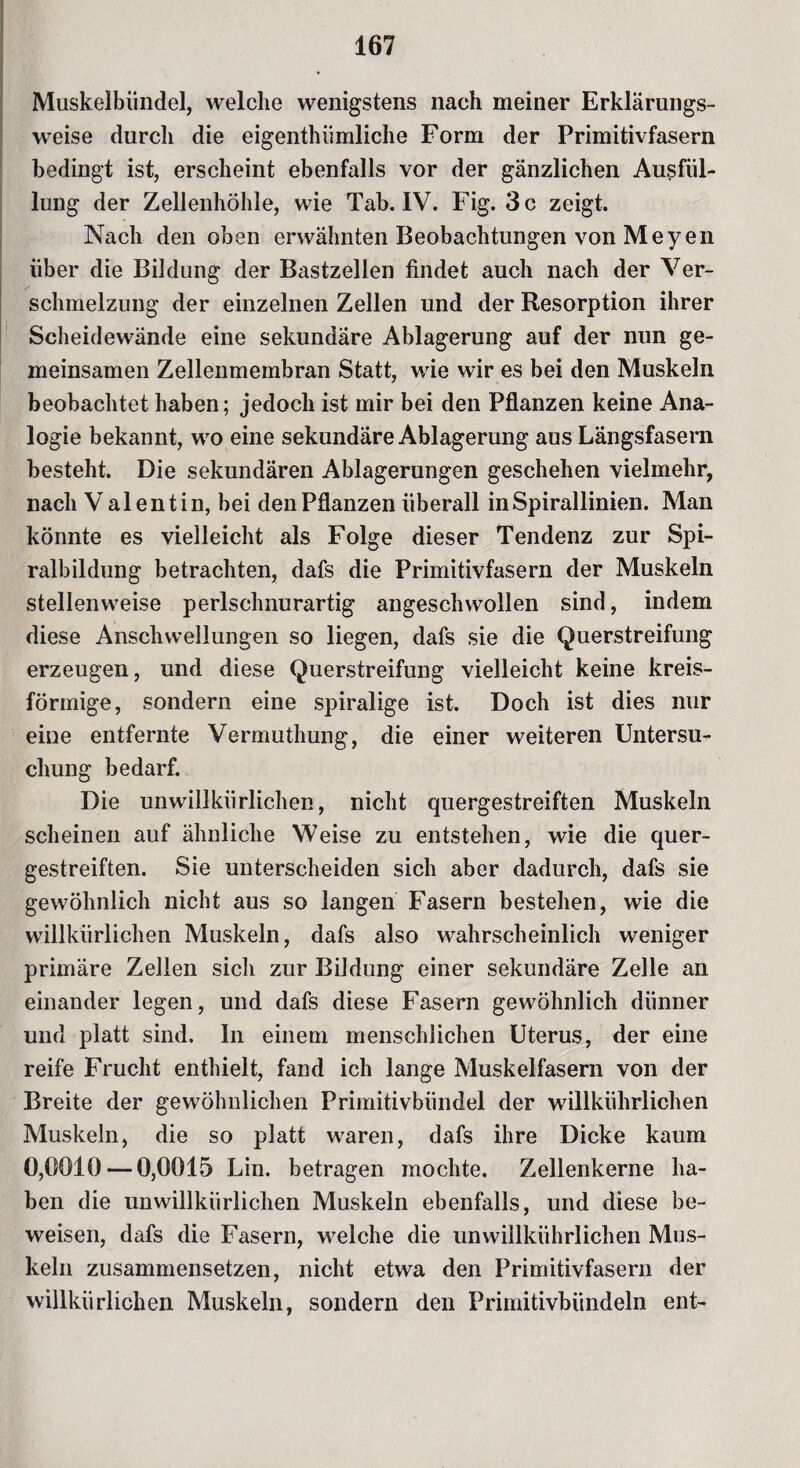 Muskelbündel, welche wenigstens nach meiner Erklärungs¬ weise durch die eigentümliche Form der Primitivfasern bedingt ist, erscheint ebenfalls vor der gänzlichen Ausfül¬ lung der Zellenhöhle, wie Tab. IV. Fig. 3 c zeigt. Nach den oben erwähnten Beobachtungen von Meyen über die Bildung der Bastzellen findet auch nach der Ver¬ schmelzung der einzelnen Zellen und der Resorption ihrer Scheidewände eine sekundäre Ablagerung auf der nun ge¬ meinsamen Zellenmembran Statt, wie wir es bei den Muskeln beobachtet haben; jedoch ist mir bei den Pflanzen keine Ana¬ logie bekannt, wo eine sekundäre Ablagerung aus Längsfasern besteht. Die sekundären Ablagerungen geschehen vielmehr, nach Valentin, bei den Pflanzen überall in Spirallinien. Man könnte es vielleicht als Folge dieser Tendenz zur Spi¬ ralbildung betrachten, dafs die Primitivfasern der Muskeln stellenweise perlschnurartig angeschwollen sind, indem diese Anschwellungen so liegen, dafs sie die Querstreifung erzeugen, und diese Querstreifung vielleicht keine kreis¬ förmige, sondern eine spiralige ist. Doch ist dies nur eine entfernte Vermuthung, die einer weiteren Untersu¬ chung bedarf. Die unwillkürlichen, nicht quergestreiften Muskeln scheinen auf ähnliche Weise zu entstehen, wie die quer¬ gestreiften. Sie unterscheiden sich aber dadurch, dafs sie gewöhnlich nicht aus so langen Fasern bestehen, wie die willkürlichen Muskeln, dafs also wahrscheinlich weniger primäre Zellen sich zur Bildung einer sekundäre Zelle an einander legen, und dafs diese Fasern gewöhnlich dünner und platt sind. In einem menschlichen Uterus, der eine reife Frucht enthielt, fand ich lange Muskelfasern von der Breite der gewöhnlichen Primitivbündel der willkührlichen Muskeln, die so platt waren, dafs ihre Dicke kaum 0,0010 — 0,0015 Lin. betragen mochte. Zellenkerne ha¬ ben die unwillkürlichen Muskeln ebenfalls, und diese be¬ weisen, dafs die Fasern, welche die unwillkührlichen Mus¬ keln zusammensetzen, nicht etwa den Primitivfasern der willkürlichen Muskeln, sondern den Primitivbündeln ent-