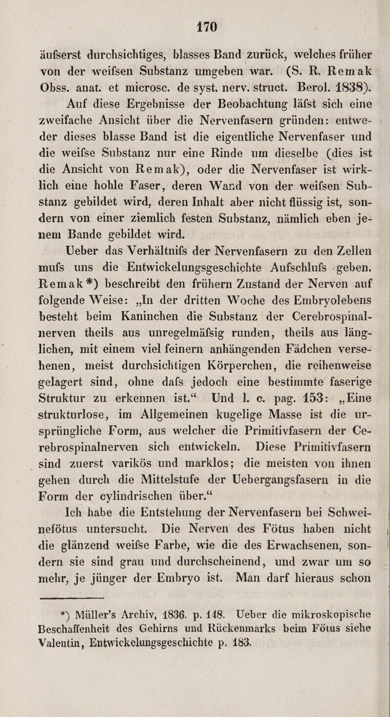 äufserst durchsichtiges, blasses Band zurück, welches früher von der weifsen Substanz umgeben war. (S. R. Remak Obss. anat. et microsc. de syst. nerv, struct. Berol. 1838). Auf diese Ergebnisse der Beobachtung läfst sich eine zweifache Ansicht über die Nervenfasern gründen: entwe¬ der dieses blasse Band ist die eigentliche Nervenfaser und die weifse Substanz nur eine Rinde um dieselbe (dies ist die Ansicht von Remak), oder die Nervenfaser ist wirk¬ lich eine hohle Faser, deren Wand von der weifsen Sub¬ stanz gebildet wird, deren Inhalt aber nicht flüssig ist, son¬ dern von einer ziemlich festen Substanz, nämlich eben je¬ nem Bande gebildet wird. Ueber das Verhältnifs der Nervenfasern zu den Zellen inufs uns die Entwickelungsgeschichte Aufschlufs geben. Remak*) beschreibt den frühem Zustand der Nerven auf folgende Weise: „In der dritten Woche des Embryolebens besteht beim Kaninchen die Substanz der Cerebrospinal¬ nerven theils aus unregelmäfsig runden, theils aus läng¬ lichen, mit einem viel feinem anhängenden Fädchen verse¬ henen, meist durchsichtigen Körperchen, die reihenweise gelagert sind, ohne dafs jedoch eine bestimmte faserige Struktur zu erkennen ist.“ Und 1. c. pag. 153: „Eine strukturlose, im Allgemeinen kugelige Masse ist die ur¬ sprüngliche Form, aus welcher die Primitivfasern der Ce¬ rebrospinalnerven sich entwickeln. Diese Primitivfasern sind zuerst varikös und marklos; die meisten von ihnen gehen durch die Mittelstufe der Uebergangsfasern in die Form der cylindrischen über.“ Ich habe die Entstehung der Nervenfasern bei Schwei¬ nefötus untersucht. Die Nerven des Fötus haben nicht ( die glänzend weifse Farbe, wie die des Erwachsenen, son¬ dern sie sind grau und durchscheinend, und zwar um so mehr, je jünger der Embryo ist. Man darf hieraus schon *) Miiller’s Archiv, 1836. p. 148. Ueber die mikroskopische Beschaffenheit des Gehirns und Rückenmarks beim Fötus siehe Valentin, Entwickelungsgeschichte p. 183.
