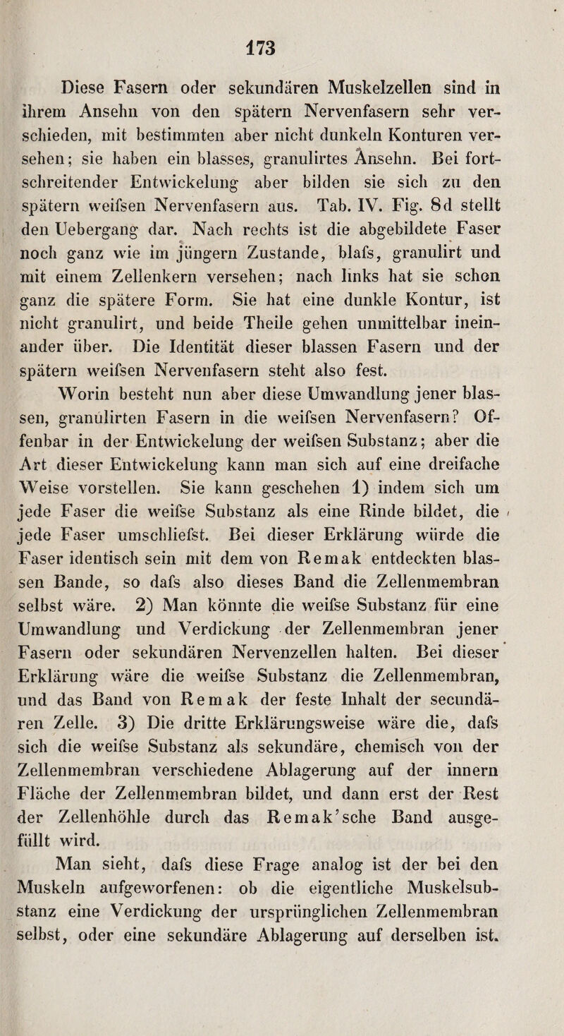 Diese Fasern oder sekundären Muskelzellen sind in ihrem Ansehn von den spätem Nervenfasern sehr ver¬ schieden, mit bestimmten aber nicht dunkeln Konturen ver¬ sehen; sie haben ein blasses, granulirtes Ansehn. Bei fort¬ schreitender Entwickelung aber bilden sie sich zu den spätem weifsen Nervenfasern aus. Tab. IV. Fig. 8d stellt den Uebergang dar. Nach rechts ist die abgebildete Faser noch ganz wie im jüngern Zustande, blafs, granulirt und mit einem Zellenkern versehen; nach links hat sie schon ganz die spätere Form. Sie hat eine dunkle Kontur, ist nicht granulirt, und beide Theile gehen unmittelbar inein¬ ander über. Die Identität dieser blassen Fasern und der spätem weifsen Nervenfasern steht also fest. Worin besteht nun aber diese Umwandlung jener blas¬ sen, granulirten Fasern in die weifsen Nervenfasern? Of¬ fenbar in der Entwickelung der weifsen Substanz; aber die Art dieser Entwickelung kann man sich auf eine dreifache Weise vorstellen. Sie kann geschehen 1) indem sich um jede Faser die weifse Substanz als eine Rinde bildet, die / jede Faser umschliefst. Bei dieser Erklärung würde die Faser identisch sein mit dem von Remak entdeckten blas¬ sen Bande, so dafs also dieses Band die Zellenmembran selbst wäre. 2) Man könnte die weifse Substanz für eine Umwandlung und Verdickung der Zellenmembran jener Fasern oder sekundären Nervenzellen halten. Bei dieser Erklärung wäre die weifse Substanz die Zellenmembran, und das Band von Remak der feste Inhalt der secundä- ren Zelle. 3) Die dritte Erklärungsweise wäre die, dafs sich die weifse Substanz als sekundäre, chemisch von der Zellenmembran verschiedene Ablagerung auf der innern Fläche der Zellenmembran bildet, und dann erst der Rest der Zellenhöhle durch das Remak’sehe Band ausge¬ füllt wird. Man sieht, dafs diese Frage analog ist der bei den Muskeln aufgeworfenen: ob die eigentliche Muskelsub¬ stanz eine Verdickung der ursprünglichen Zellenmembran selbst, oder eine sekundäre Ablagerung auf derselben ist.