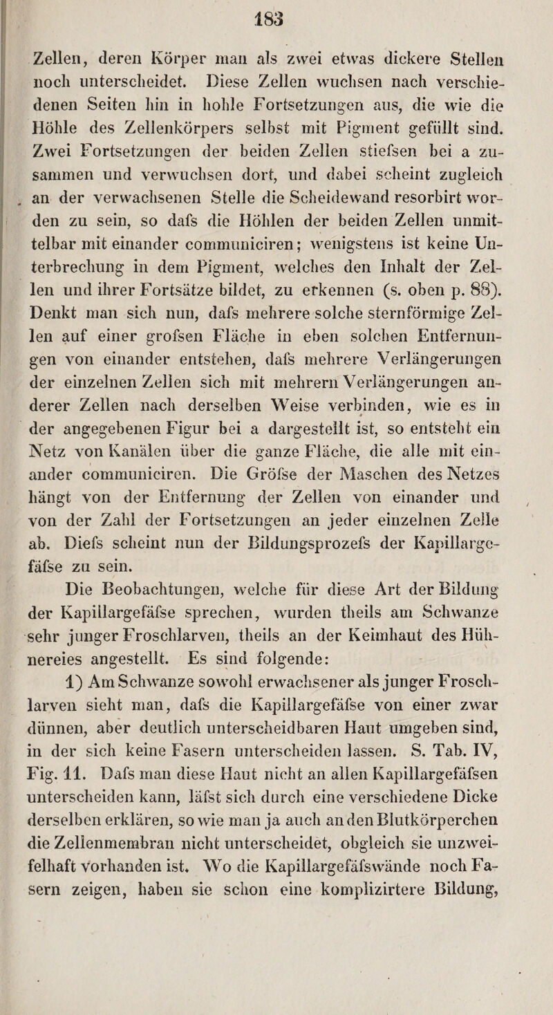 Zellen, deren Körper mail als zwei etwas dickere Stellen noch unterscheidet. Diese Zellen wuchsen nach verschie- denen Seiten hin in hohle Fortsetzungen aus, die wie die Höhle des Zellenkörpers selbst mit Pigment gefüllt sind. Zwei Fortsetzungen der beiden Zellen stiefsen bei a zu¬ sammen und verwuchsen dort, und dabei scheint zugleich an der verwachsenen Stelle die Scheidewand resorbirt wor¬ den zu sein, so dafs die Höhlen der beiden Zellen unmit¬ telbar mit einander communiciren; wenigstens ist keine Un¬ terbrechung in dem Pigment, welches den Inhalt der Zel¬ len und ihrer Fortsätze bildet, zu erkennen (s. oben p. 88). Denkt man sich nun, dafs mehrere solche sternförmige Zel¬ len auf einer grofsen Fläche in eben solchen Entfernun¬ gen von einander entstehen, dafs mehrere Verlängerungen der einzelnen Zellen sich mit mehrern Verlängerungen an¬ derer Zellen nach derselben Weise verbinden, wie es in der angegebenen Figur bei a dargestellt ist, so entsteht ein Netz von Kanälen über die ganze Fläche, die alle mit ein¬ ander communiciren. Die Gröfse der Maschen des Netzes hängt von der Entfernung der Zellen von einander und von der Zahl der Fortsetzungen an jeder einzelnen Zeile ab. Diefs scheint nun der Bildungsprozefs der Kapillargc- fätse zu sein. Die Beobachtungen, welche für diese Art der Bildung der Kapiilargefäfse sprechen, wurden theils am Schwänze sehr junger Froschlarven, theils an der Keimhaut des Hüh¬ nereies angestellt. Es sind folgende: 1) Am Schwänze sowohl erwachsener als junger Frosch¬ larven sieht man, dafs die Kapiilargefäfse von einer zwar dünnen, aber deutlich unterscheidbaren Haut umgeben sind, in der sich keine Fasern unterscheiden lassen. S. Tab. IV, Fig. 11. Dafs man diese Plaut nicht an allen Kapillargefäfsen unterscheiden kann, läfst sich durch eine verschiedene Dicke derselben erklären, sowie man ja auch an den Blutkörperchen die Zellenmembran nicht unterscheidet, obgleich sie unzwei¬ felhaft vorhanden ist* Wo die Kapillargefafswände noch Fa¬ sern zeigen, haben sie schon eine komplizirtere Bildung,