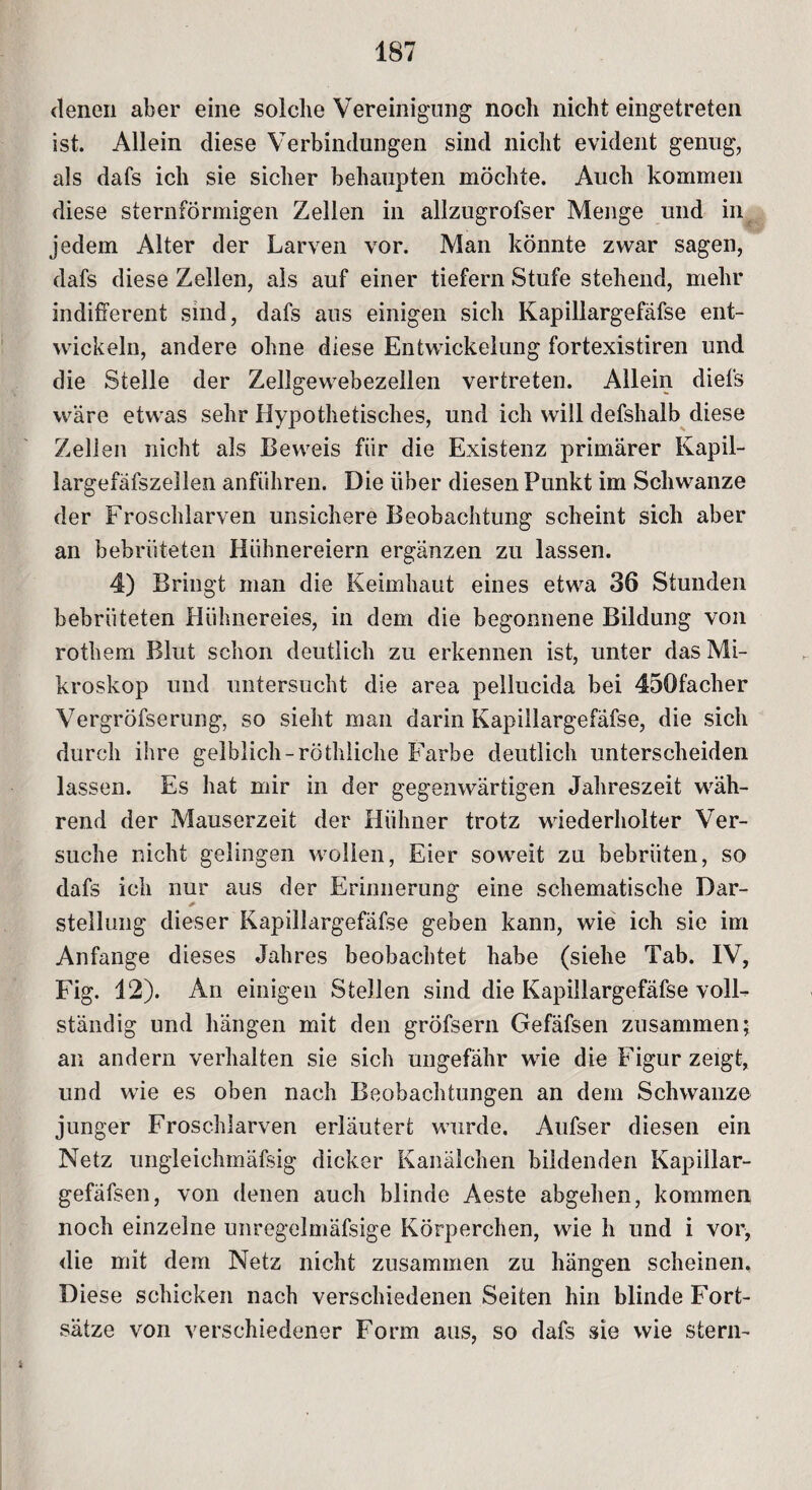 denen aber eine solche Vereinigung noch nicht eingetreten ist. Allein diese Verbindungen sind nicht evident genug, als dafs ich sie sicher behaupten möchte. Auch kommen diese sternförmigen Zellen in allzugrofser Menge und in jedem Alter der Larven vor. Man könnte zwar sagen, dafs diese Zellen, als auf einer tiefem Stufe stehend, mehr indifferent sind, dafs aus einigen sich Kapillargefäfse ent¬ wickeln, andere ohne diese Entwickelung fortexistiren und die Stelle der Zellgewebezellen vertreten. Allein diefs wäre etwas sehr Hypothetisches, und ich will defshalb diese Zellen nicht als Beweis für die Existenz primärer Kapil- largefäfszellen anführen. Die über diesen Punkt im Schwänze der Froschlarven unsichere Beobachtung scheint sich aber an bebrüteten Hühnereiern ergänzen zu lassen. 4) Bringt man die Keimhaut eines etwa 36 Stunden bebrüteten Hühnereies, in dem die begonnene Bildung von rothem Blut schon deutlich zu erkennen ist, unter das Mi¬ kroskop und untersucht die area pellucida bei 450facher Vergröfserung, so sieht man darin Kapillargefäfse, die sich durch ihre gelblich-röthliche Farbe deutlich unterscheiden lassen. Es hat mir in der gegenwärtigen Jahreszeit wäh¬ rend der Mauserzeit der Hühner trotz wiederholter Ver¬ suche nicht gelingen wollen, Eier soweit zu bebrüten, so dafs ich nur aus der Erinnerung eine schematische Dar¬ stellung dieser Kapillargefäfse geben kann, wie ich sie im Anfänge dieses Jahres beobachtet habe (siehe Tab. IV, Fig. 12). An einigen Stellen sind die Kapillargefäfse voll¬ ständig und hängen mit den gröfsern Gefäfsen zusammen; an andern verhalten sie sich ungefähr wie die Figur zeigt, und wie es oben nach Beobachtungen an dem Schwänze junger Froschlarven erläutert wurde. Aufser diesen ein Netz ungleichmäfsig dicker Kanälchen bildenden Kapillar- gefäfsen, von denen auch blinde Aeste abgehen, kommen noch einzelne unregelmäfsige Körperchen, wie h und i vor, die mit dem Netz nicht zusammen zu hängen scheinen. Diese schicken nach verschiedenen Seiten hin blinde Fort¬ sätze von verschiedener Form aus, so dafs sie wie sfcern-