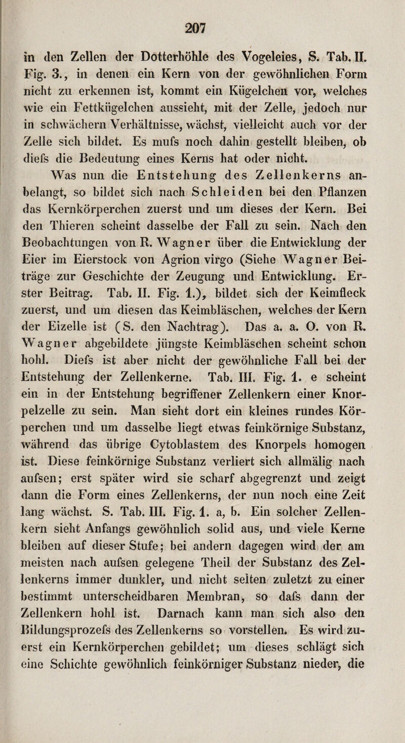 / in den Zellen der Dotterhöhle des Vogeleies, S. Tab.II. Fig. 3., in denen ein Kern von der gewöhnlichen Form nicht zu erkennen ist, kommt ein Kügelchen vor, welches wie ein Fettkügelchen aussieht, mit der Zelle, jedoch nur in schwachem Verhältnisse, wächst, vielleicht auch vor der Zelle sich bildet. Es mufs noch dahin gestellt bleiben, ob diefs die Bedeutung eines Kerns hat oder nicht. Was nun die Entstehung des Zellenkerns an¬ belangt, so bildet sich nach Schleiden bei den Pflanzen das Kernkörperchen zuerst und um dieses der Kern. Bei den Thieren scheint dasselbe der Fall zu sein. Nach den Beobachtungen von R. Wagner über die Entwicklung der Eier im Eierstock von Agrion virgo (Siehe Wagner Bei¬ träge zur Geschichte der Zeugung und Entwicklung. Er¬ ster Beitrag. Tab. II. Fig. 1.), bildet sich der Keimfleck zuerst, und um diesen das Keimbläschen, welches der Kern der Eizelle ist (S. den Nachtrag). Das a. a. O. von R. Wagner abgebildete jüngste Keimbläschen scheint schon hohl. Diefs ist aber nicht der gewöhnliche Fall bei der Entstehung der Zellenkerne. Tab. III. Fig. 1. e scheint ein in der Entstehung begriffener Zellenkern einer Knor¬ pelzelle zu sein. Man sieht dort ein kleines rundes Kör¬ perchen und um dasselbe liegt etwas feinkörnige Substanz, während das übrige Cytoblastem des Knorpels homogen ist. Diese feinkörnige Substanz verliert sich allmälig nach aufsen; erst später wird sie scharf abgegrenzt und zeigt dann die Form eines Zellenkerns, der nun noch eine Zeit lang wächst. S. Tab. III. Fig. 1. a, b. Ein solcher Zellen¬ kern sieht Anfangs gewöhnlich solid aus, und viele Kerne bleiben auf dieser Stufe; bei andern dagegen wird der am meisten nach aufsen gelegene Theil der Substanz des Zel¬ lenkerns immer dunkler, und nicht selten zuletzt zu einer bestimmt unterscheidbaren Membran, so dafs dann der Zellenkern hohl ist. Darnach kann man sich also den Bildungsprozefs des Zellenkerns so vorstellen. Es wird zu¬ erst ein Kernkörperchen gebildet; um dieses schlägt sich eine Schichte gewöhnlich feinkörniger Substanz nieder, die