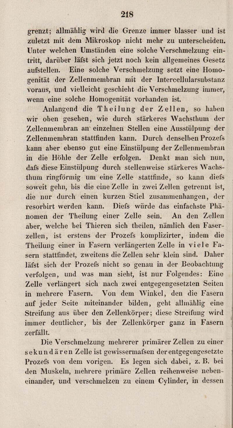 grenzt; allmählig wird die Grenze immer blasser und ist zuletzt mit dem Mikroskop nicht mehr zu unterscheiden. Unter welchen Umständen eine solche Verschmelzung ein- tritt, darüber läfst sich jetzt noch kein allgemeines Gesetz aufstellen. Eine solche Verschmelzung setzt eine Homo¬ genität der Zellenmembran mit der Intercellularsubstanz voraus, und vielleicht geschieht die Verschmelzung immer, wenn eine solche Homogenität vorhanden ist. Anlangend die Theilung der Zellen, so haben wir oben gesehen, wie durch stärkeres Wachsthum der Zellenmembran an einzelnen Stellen eine Ausstülpung der Zellenmembran stattfinden kann. Durch denselben Prozefs kann aber ebenso gut eine Einstülpung der Zellenmembran in die Höhle der Zelle erfolgen. Denkt man sich nun, dafs diese Einstülpung durch stellenweise stärkeres Wachs¬ thum ringförmig um eine Zelle stattfinde, so kann diefs soweit gehn, bis die eine Zelle in zwei Zellen getrennt ist, die nur durch einen kurzen Stiel Zusammenhängen, der resorbirt werden kann. Diefs würde das einfachste Phä¬ nomen der Theilung einer Zelle sein. An den Zellen aber, welche bei Thieren sich theilen, nämlich den Faser¬ zellen, ist erstens der Prozefs komplizirter, indem die Theilung einer in Fasern verlängerten Zelle in viele Fa¬ sern stattfindet, zweitens die Zellen sehr klein sind. Daher läfst sich der Prozefs nicht so genau in der Beobachtung verfolgen, und was man sieht, ist nur Folgendes: Eine Zelle verlängert sich nach zwei entgegengesetzten Seiten in mehrere Fasern. Von dem Winkel, den die Fasern auf jeder Seite miteinander bilden, geht allmählig eine Streifung aus über den Zellenkörper; diese Streifung wird immer deutlicher, bis der Zellenkörper ganz in Fasern zerfällt. Die Verschmelzung mehrerer primärer Zellen zu einer sekundären Zelle ist gewissermalsen der entgegengesetzte Prozefs von dem vorigen. Es legen sich dabei, z. B. bei den Muskeln, mehrere primäre Zellen reihenweise neben¬ einander, und verschmelzen zu einem Cylinder, in dessen