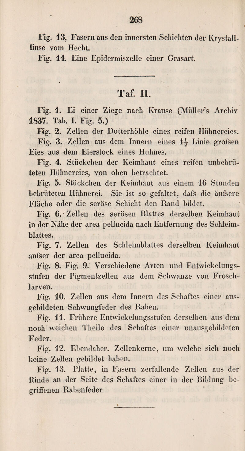 Fig. 13, Fasern aus den innersten Schichten der Krystall- linse vom Hecht. Fig. 14. Eine Epidermiszelle einer Grasart. Taf. II. Fig. 1. Ei einer Ziege nach Krause (Müller’s Archiv 1837. Tab, I. Fig. 5.) Fig. 2. Zellen der Dotterhöhle eines reifen Hühnereies. Fig. 3. Zellen aus dem Innern eines 1^ Linie grofsen Eies aus dem Eierstock eines Huhnes. Fig. 4. Stückchen der Keimhaut eines reifen unbebrü- teten Hühnereies, von oben betrachtet. Fig. 5. Stückchen der Keimhaut aus einem 16 Stunden bebrüteten Hühnerei. Sie ist so gefaltet, dafs die äufsere Fläche oder die seröse Schicht den Rand bildet. Fig. 6. Zellen des serösen Blattes derselben Keimhaut in der Nähe der area pellucida nach Entfernung des Schleim¬ blattes. Fig. 7. Zellen des Schleimblattes derselben Keimhaut aufser der area pellucida. Fig. 8. Fig. 9. Verschiedene Arten und Entwickelungs¬ stufen der Pigmentzellen aus dem Schwänze von Frosch¬ larven. Fig. 10. Zellen aus dem Innern des Schaftes einer aus¬ gebildeten Schwungfeder des Raben. Fig. 11. Frühere Entwickelungsstufen derselben aus dem noch weichen Theile des Schaftes einer unausgebildeten Feder. Fig. 12. Ebendaher. Zellenkerne, um welche sich noch keine Zellen gebildet haben. Fig. 13. Platte, in Fasern zerfallende Zellen aus der Rinde an der Seite des Schaftes einer in der Bildung be¬ griffenen Rabenfeder v