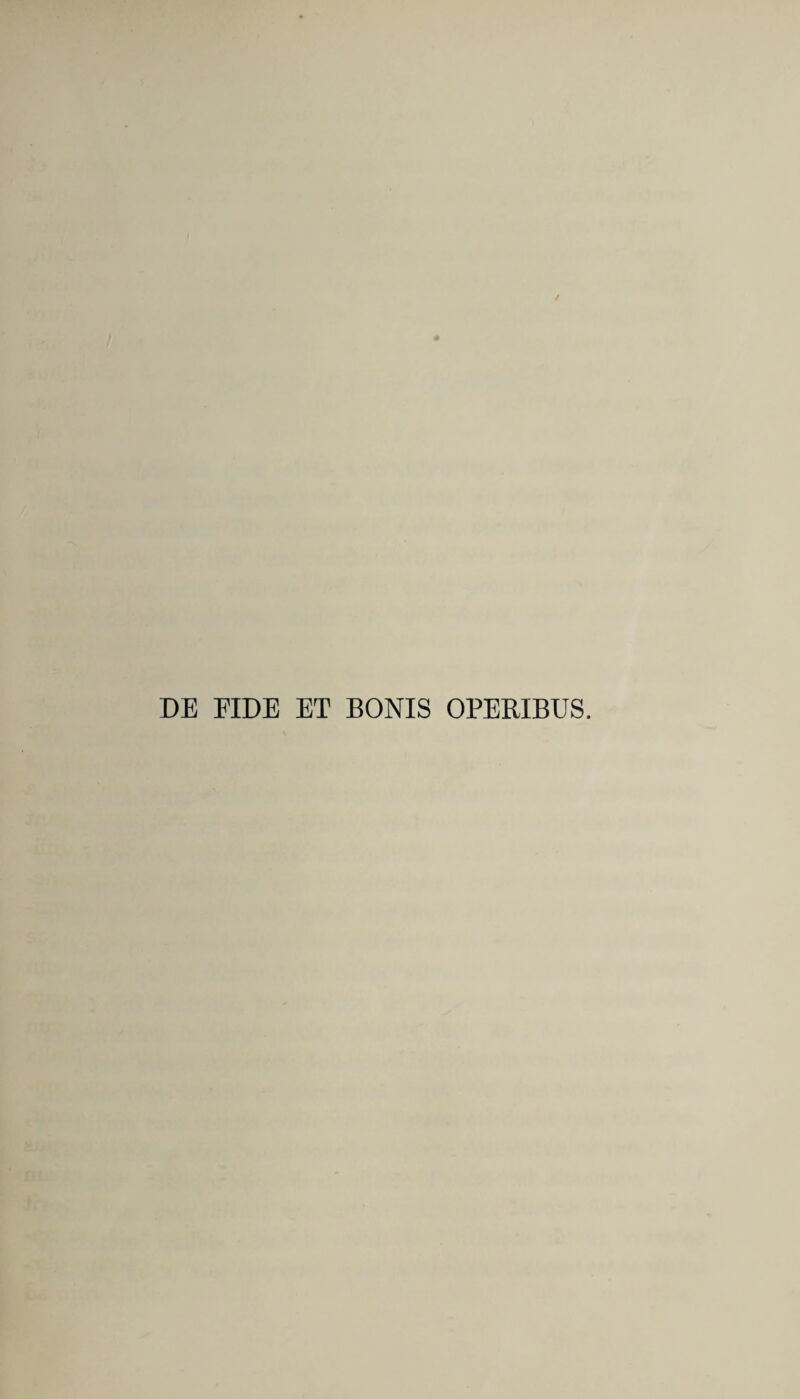 DE FIDE ET BONIS OPERIBUS.