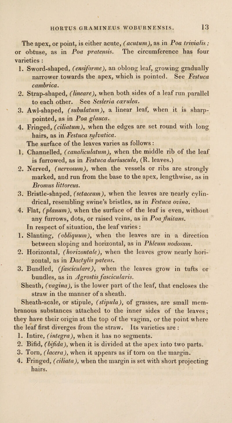 The apex, or point, is either acute, (acutum), as in Poa trivialis; or obtuse, as in Poa prateyisis. The circumference has four varieties : 1. Sword-shaped, (ensiforme), an oblong leaf, growing gradually narrower towards the apex, which is pointed. See Festvca cambrica. 2. Strap-shaped, (lineare), when both sides of a leaf run parallel to each other. See Sesleria cocrulea. 3. Awl-shaped, (subulatum), a linear leaf, when it is sharp- pointed, as in Poa g/auca. 4. Fringed, (ciliatum), when the edges are set round with long hairs, as in Festuca sylvatica. The surface of the leaves varies as follows : 1. Channelled, (canaliculatum), when the middle rib of the leaf is furrowed, as in Festuca duriuscula, (R. leaves.) 2. Nerved, (nervosum), when the vessels or ribs are strongly marked, and run from the base to the apex, lengthwise, as in Bromus littoreus. 3. Bristle-shaped, (setaceum), when the leaves are nearly cylin¬ drical, resembling swine’s bristles, as in Festuca ovina. 4. Flat, (planum), when the surface of the leaf is even, without any furrows, dots, or raised veins, as in Poafiuitans. In respect of situation, the leaf varies : 1. Slanting, (obliquum), when the leaves are in a direction between sloping and horizontal, as in Phleum nodosum. 2. Horizontal, (horizontale), when the leaves grow nearly hori¬ zontal, as in Dactylis patens. 3. Bundled, (fasciculare), when the leaves grow in tufts or bundles, as in Agrostisfascicularis. Sheath, (vagina), is the lower part of the leaf, that encloses the straw7 in the manner of a sheath. Sheath-scale, or stipule, (stipula), of grasses, are small mem¬ branous substances attached to the inner sides of the leaves; they have their origin at the top of the vagina, or the point where the leaf first diverges from the straw. Its varieties are : 1. Intire, (Integra), when it has no segments. 2. Bifid, (bifida), when it is divided at the apex into two parts. 3. Torn, (lacera), when it appears as if torn on the margin. 4. Fringed, (ciliata), when the margin is set with short projecting hairs.