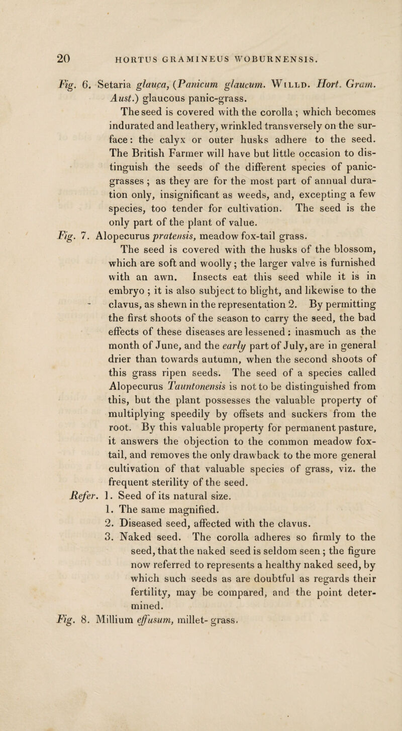 Fig. 6. Setaria glauca, (Panicum glaucum. Willd. Hort. Gram. Aust.) glaucous panic-grass. The seed is covered with the corolla ; which becomes indurated and leathery, wrinkled transversely on the sur¬ face : the calyx or outer husks adhere to the seed. The British Farmer will have but little occasion to dis¬ tinguish the seeds of the different species of panic- grasses ; as they are for the most part of annual dura¬ tion only, insignificant as weeds, and, excepting a few species, too tender for cultivation. The seed is the only part of the plant of value. Fig. 7. Alopecurus pratensis, meadow fox-tail grass. The seed is covered with the husks of the blossom, which are soft and woolly; the larger valve is furnished with an awn. Insects eat this seed while it is in embryo ; it is also subject to blight, and likewise to the clavus, as shewn in the representation 2. By permitting the first shoots of the season to carry the seed, the bad effects of these diseases are lessened : inasmuch as the •» month of June, and the early part of July, are in general drier than towards autumn, when the second shoots of this grass ripen seeds. The seed of a species called Alopecurus Tauntonensis is not to be distinguished from this, but the plant possesses the valuable property of multiplying speedily by offsets and suckers from the root. By this valuable property for permanent pasture, it answers the objection to the common meadow fox¬ tail, and removes the only drawback to the more general cultivation of that valuable species of grass, viz. the frequent sterility of the seed. Refer. 1. Seed of its natural size. 1. The same magnified. 2. Diseased seed, affected with the clavus. 3. Naked seed. The corolla adheres so firmly to the seed, that the naked seed is seldom seen ; the figure now referred to represents a healthy naked seed, by which such seeds as are doubtful as regards their fertility, may be compared, and the point deter¬ mined. Fig. 8. Millium effusum, millet-grass.