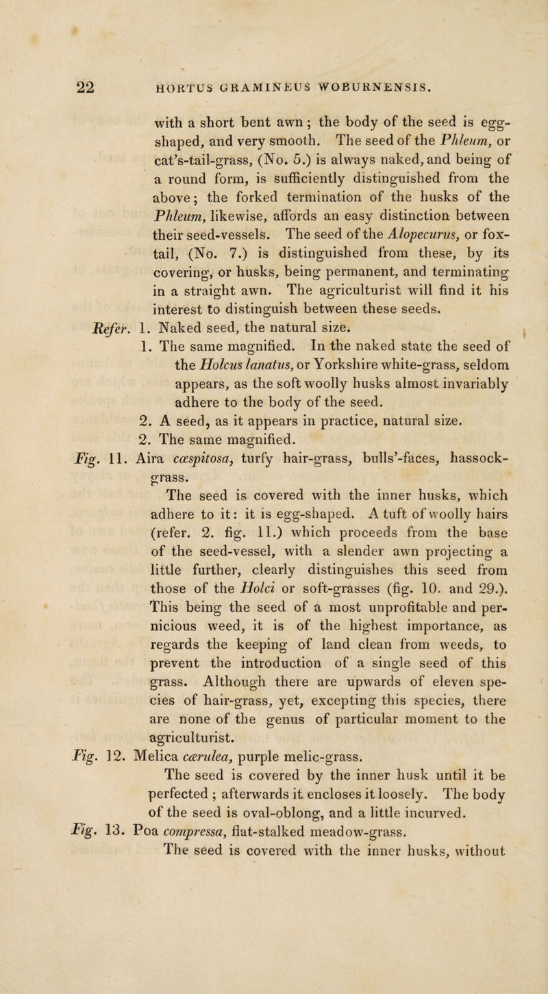 with a short bent awn; the body of the seed is egg- shaped, and very smooth. The seed of the Phleum, or cat’s-tail-grass, (No. 5.) is always naked, and being of a round form, is sufficiently distinguished from the above; the forked termination of the husks of the Phleum, likewise, affords an easy distinction between their seed-vessels. The seed of the Alopecurus, or fox¬ tail, (No. 7.) is distinguished from these, by its covering, or husks, being permanent, and terminating in a straight awn. The agriculturist will find it his interest to distinguish between these seeds. Refer. 1. Naked seed, the natural size. 1. The same magnified. In the naked state the seed of the Holcus lanatus, or Yorkshire white-grass, seldom appears, as the soft woolly husks almost invariably adhere to the body of the seed. 2. A seed, as it appears in practice, natural size. 2. The same magnified. Fig. 11. Aira coespitosa, turfy hair-grass, bulls’-faces, hassock- grass. The seed is covered with the inner husks, which adhere to it: it is egg-shaped. A tuft of woolly hairs (refer. 2. fig. 11.) which proceeds from the base of the seed-vessel, with a slender awn projecting a little further, clearly distinguishes this seed from those of the Hold or soft-grasses (fig. 10. and 29.). This being the seed of a most unprofitable and per¬ nicious weed, it is of the highest importance, as regards the keeping of land clean from weeds, to prevent the introduction of a single seed of this grass. Although there are upwards of eleven spe¬ cies of hair-grass, yet, excepting this species, there are none of the genus of particular moment to the agriculturist. Fig. 12. Melica c&rulea, purple melic-grass. The seed is covered by the inner husk until it be perfected ; afterwards it encloses it loosely. The body of the seed is oval-oblong, and a little incurved. Fig. 13. Poa compressa, flat-stalked meadow-grass. The seed is covered with the inner husks, without
