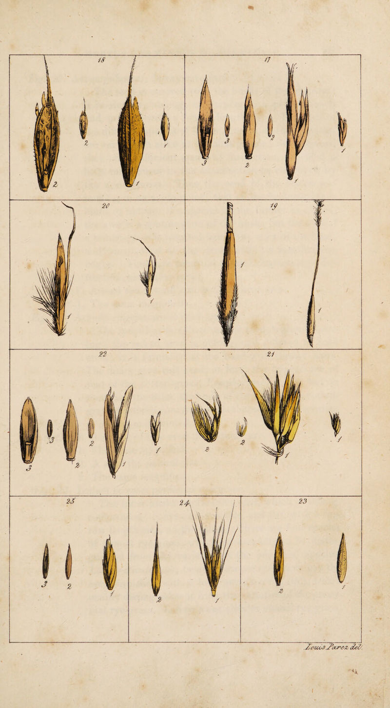 I ZoiCCS' ZeX^&Z del/. (