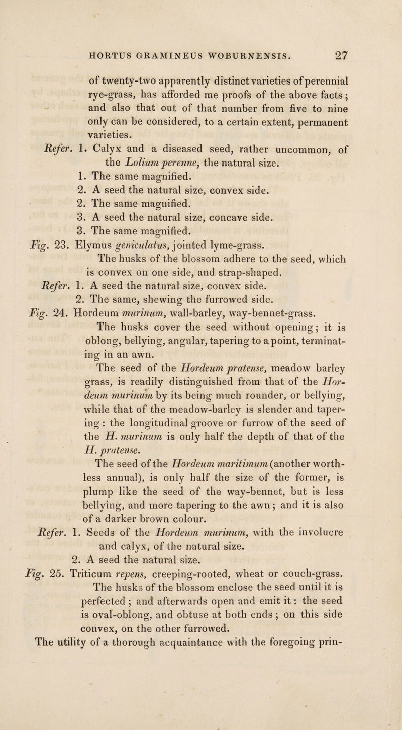 of twenty-two apparently distinct varieties of perennial rye-grass, has afforded me proofs of the above facts; and also that out of that number from five to nine only can be considered, to a certain extent, permanent varieties. Refer. 1. Calyx and a diseased seed, rather uncommon, of the Folium perenne, the natural size. 1. The same magnified, 2. A seed the natural size, convex side. 2. The same magnified. 3. A seed the natural size, concave side. 3. The same magnified. Fig. 23. Elymus geniculatus, jointed lyme-grass. The husks of the blossom adhere to the seed, which is convex on one side, and strap-shaped. Refer. 1. A seed the natural size, convex side. 2. The same, shewing the furrowed side. Fig. 24. Hordeum murinum, wall-barley, way-bennet-grass. The husks cover the seed without opening; it is oblong, bellying, angular, tapering to a point, terminat¬ ing in an awn. The seed of the Hordeum pratense, meadow barley grass, is readily distinguished from that of the Hor¬ deum murinum by its being much rounder, or bellying, while that of the meadow-barley is slender and taper¬ ing : the longitudinal groove or furrow of the seed of the H. murinum is only half the depth of that of the H. pratense. The seed of the Hordeum maritimum (another worth¬ less annual), is only half the size of the former, is plump like the seed of the way-bennet, but is less bellying, and more tapering to the awn; and it is also of a darker brown colour. Refer. 1. Seeds of the Hordeum murinum, with the involucre and calyx, of the natural size. 2. A seed the natural size. Fig. 25. Triticum repens, creeping-rooted, wheat or couch-grass. The husks of the blossom enclose the seed until it is perfected ; and afterwards open and emit it: the seed is oval-oblong, and obtuse at both ends; on this side convex, on the other furrowed. The utility of a thorough acquaintance with the foregoing prin-