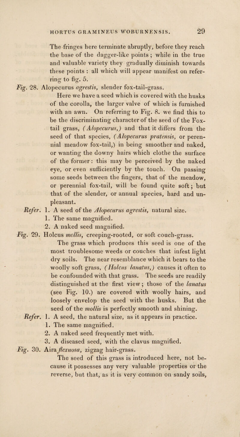 The fringes here terminate abruptly, before they reach the base of the dagger-like points ; while in the true and valuable variety they gradually diminish towards these points : all which will appear manifest on refer¬ ring to fig. 5. Fig. 28. Alopecurus agrestis, slender fox-tail-grass. Here we have a seed which is covered with the husks of the corolla, the larger valve of which is furnished with an awn. On referring to Fig. 8. we find this to be the discriminating character of the seed of the Fox¬ tail grass, (Alopecurus,) and that it differs from the seed of that species, (Alopecurus pratensis, or peren¬ nial meadow fox-tail,) in being smoother and naked, or wanting the downy hairs which clothe the surface of the former: this may be perceived by the naked eye, or even sufficiently by the touch. On passing some seeds between the fingers, that of the meadow, or perennial fox-tail, will be found quite soft; but that of the slender, or annual species, hard and un¬ pleasant. Refer. 1. A seed of the Alopecurus agrestis, natural size. 1. The same magnified. 2. A naked seed magnified. Fig. 29. Holcus mollis, creeping-rooted, or soft couch-grass. The grass which produces this seed is one of the most troublesome weeds or couches that infest light dry soils. The near resemblance which it bears to the woolly soft grass, (Holcus lanatus,) causes it often to be confounded with that grass. The seeds are readily distinguished at the first view; those of the lanatus (see Fig. 10.) are covered with woolly hairs, and loosely envelop the seed with the husks. But the seed of the mollis is perfectly smooth and shining. Refer. 1. A seed, the natural size, as it appears in practice. 1. The same magnified. 2. A naked seed frequently met with. 3. A diseased seed, with the clavus magnified. Fig. 30. h.\x& flexuosa, zigzag hair-grass. The seed of this grass is introduced here, not be¬ cause it possesses any very valuable properties or the reverse, but that, as it is very common on sandy soils,