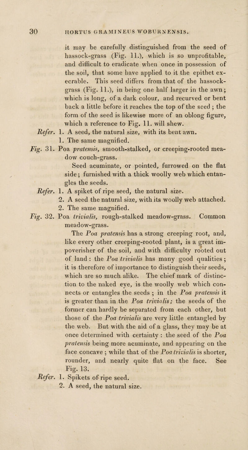 it may be carefully distinguished from the seed of hassock-grass (Fig. 11.), which is so unprofitable, and difficult to eradicate when once in possession of the soil, that some have applied to it the epithet ex¬ ecrable. This seed differs from that of the hassock- grass (Fig. 11.), in being one half larger in the awn; which is long, of a dark colour, and recurved or bent back a little before it reaches the top of the seed ; the form of the seed is likewise more of an oblong figure, which a reference to Fig. 11. will shew. Refer. 1. A seed, the natural size, with its bent awn. 1. The same magnified. Fig. 31. Poa pratensis, smooth-stalked, or creeping-rooted mea¬ dow couch-grass. Seed acuminate, or pointed, furrowed on the flat side; furnished with a thick woolly web which entan¬ gles the seeds. Refer. 1. A spiket of ripe seed, the natural size. 2. A seed the natural size, with its woolly web attached. 2. The same magnified. Fig. 32. Poa trivialis, rough-stalked meadow-grass. Common meadow-grass. The Poa pratensis has a strong creeping root, and, like every other creeping-rooted plant, is a great im- poverisher of the soil, and with difficulty rooted out of land : the Poa trivialis has many good qualities ; it is therefore of importance to distinguish their seeds, which are so much alike. The chief mark of distinc¬ tion to the naked eye, is the woolly web which con¬ nects or entangles the seeds ; in the Poa pratensis it is greater than in the Poa trivialis; the seeds of the former can hardly be separated from each other, but those of the Poa trivialis are very little entangled by the web. But with the aid of a glass, they may be at once determined with certainty : the seed of the Poa pratensis being more acuminate, and appearing on the face concave ; while that of the Poa trivialis is shorter, rounder, and nearly quite flat on the face. See Fig. 13. Refer. 1. Spikets of ripe seed. 2. A seed, the natural size.