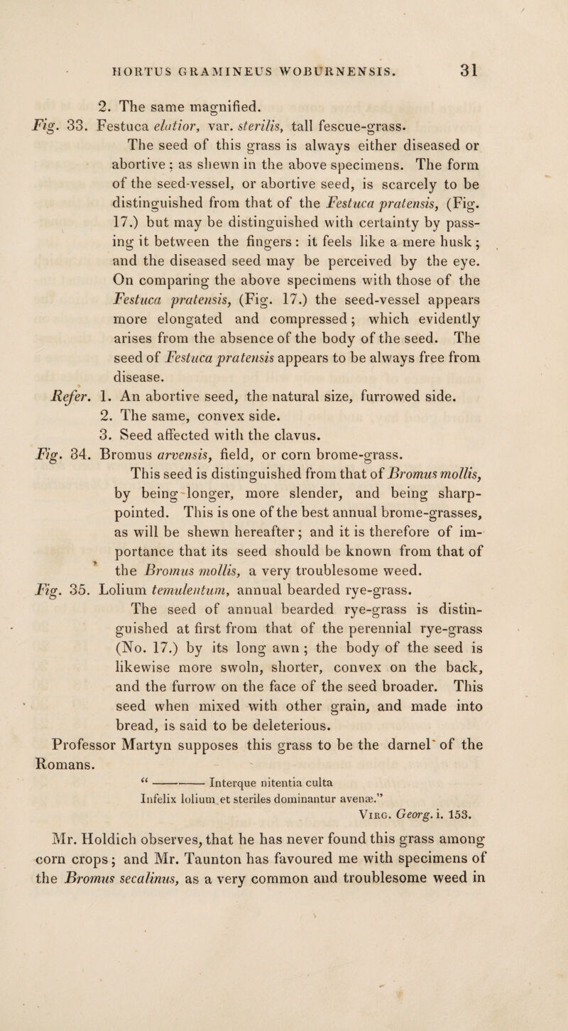 2. The same magnified. Fig. 33. Festuca elatior, var. sterilis, tall fescue-grass. The seed of this grass is always either diseased or abortive : as shewn in the above specimens. The form of the seed-vessel, or abortive seed, is scarcely to be distinguished from that of the Festuca pratensis, (Fig. 17.) but may be distinguished with certainty by pass¬ ing it between the fingers: it feels like a mere husk; and the diseased seed may be perceived by the eye. On comparing the above specimens with those of the Festuca pratensis, (Fig. 17.) the seed-vessel appears more elongated and compressed; which evidently arises from the absence of the body of the seed. The seed of Festuca pratensis appears to be always free from disease. Refer. 1. An abortive seed, the natural size, furrowed side. 2. The same, convex side. 3. Seed affected with the clavus. Fig. 34. Bromus arvensis, field, or corn brome-grass. This seed is distinguished from that of Bromus mollis, by being'longer, more slender, and being sharp- pointed. This is one of the best annual brome-grasses, as will be shewn hereafter; and it is therefore of im¬ portance that its seed should be known from that of the Bromus mollis, a very troublesome weed. Fig. 35. Lolium temulentum, annual bearded rye-grass. The seed of annual bearded rye-grass is distin¬ guished at first from that of the perennial rye-grass (No. 17.) by its long awn ; the body of the seed is likewise more swoln, shorter, convex on the back, and the furrow on the face of the seed broader. This seed when mixed with other grain, and made into bread, is said to be deleterious. Professor Martyn supposes this grass to be the darnel* of the Romans. u---Interque nitentia culta Infelix lolium et steriles dominantur avenge.” Virg. Georg, i. 153. Mr. Holdich observes, that he has never found this grass among com crops; and Mr. Taunton has favoured me with specimens of the Bromus secalinus, as a very common and troublesome weed in