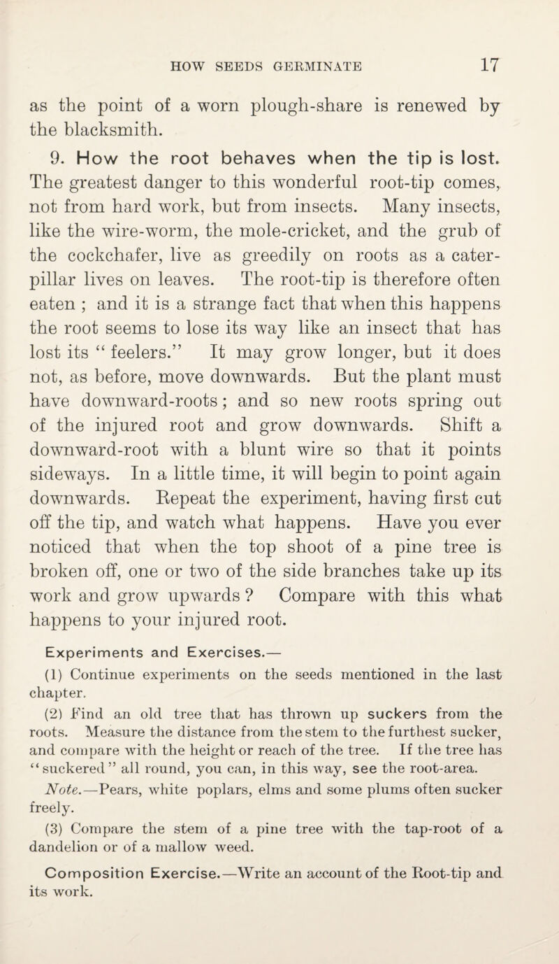 as the point of a worn plough-share is renewed by the blacksmith. 9. How the root behaves when the tip is lost. The greatest danger to this wonderful root-tip comes, not from hard work, but from insects. Many insects, like the wire-worm, the mole-cricket, and the grub of the cockchafer, live as greedily on roots as a cater¬ pillar lives on leaves. The root-tip is therefore often eaten ; and it is a strange fact that when this happens the root seems to lose its way like an insect that has lost its “ feelers.” It may grow longer, but it does not, as before, move downwards. But the plant must have downward-roots; and so new roots spring out of the injured root and grow downwards. Shift a downward-root with a blunt wire so that it points sideways. In a little time, it will begin to point again downwards. Repeat the experiment, having first cut off the tip, and watch what happens. Have you ever noticed that when the top shoot of a pine tree is broken off, one or two of the side branches take up its work and grow upwards ? Compare with this what happens to your injured root. Experiments and Exercises.— (1) Continue experiments on the seeds mentioned in the last chapter. (2) Find an old tree that has thrown up suckers from the roots. Measure the distance from the stem to the furthest sucker, and compare with the height or reach of the tree. If the tree has “suckered” all round, you can, in this way, see the root-area. Note.—Pears, white poplars, elms and some plums often sucker freely. (3) Compare the stem of a pine tree with the tap-root of a dandelion or of a mallow weed. Composition Exercise.—Write an account of the Root-tip and its work.