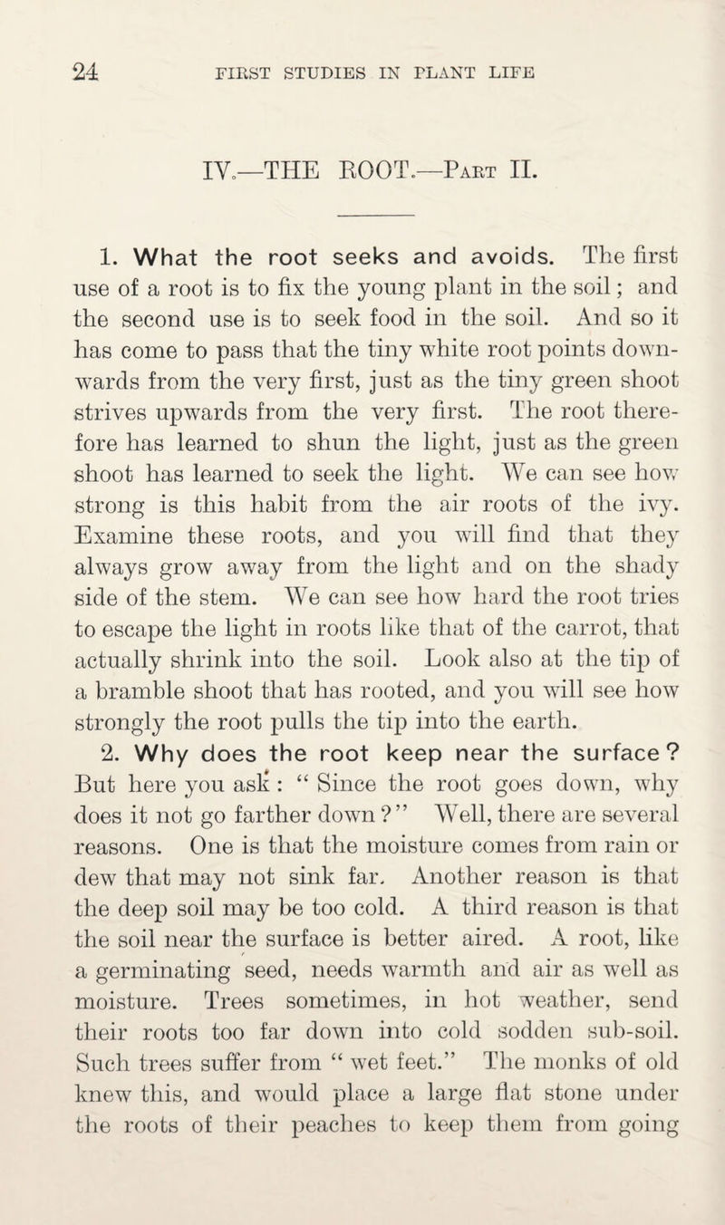 IV.—THE BOOT.—Part II. 1. What the root seeks and avoids. The first use of a root is to fix the young plant in the soil; and the second use is to seek food in the soil. And so it has come to pass that the tiny white root points down¬ wards from the very first, just as the tiny green shoot strives upwards from the very first. The root there¬ fore has learned to shun the light, just as the green shoot has learned to seek the light. We can see how strong is this habit from the air roots of the ivy. Examine these roots, and you will find that they always grow away from the light and on the shady side of the stem. We can see how hard the root tries to escape the light in roots like that of the carrot, that actually shrink into the soil. Look also at the tip of a bramble shoot that has rooted, and you will see how strongly the root pulls the tip into the earth. 2. Why does the root keep near the surface? But here you asli: “ Since the root goes down, why does it not go farther down ?” Well, there are several reasons. One is that the moisture comes from rain or dew that may not sink far. Another reason is that the deep soil may be too cold. A third reason is that the soil near the surface is better aired. A root, like a germinating seed, needs warmth and air as well as moisture. Trees sometimes, in hot weather, send their roots too far down into cold sodden sub-soil. Such trees suffer from “ wet feet.” The monks of old knew this, and would place a large flat stone under the roots of their peaches to keep them from going